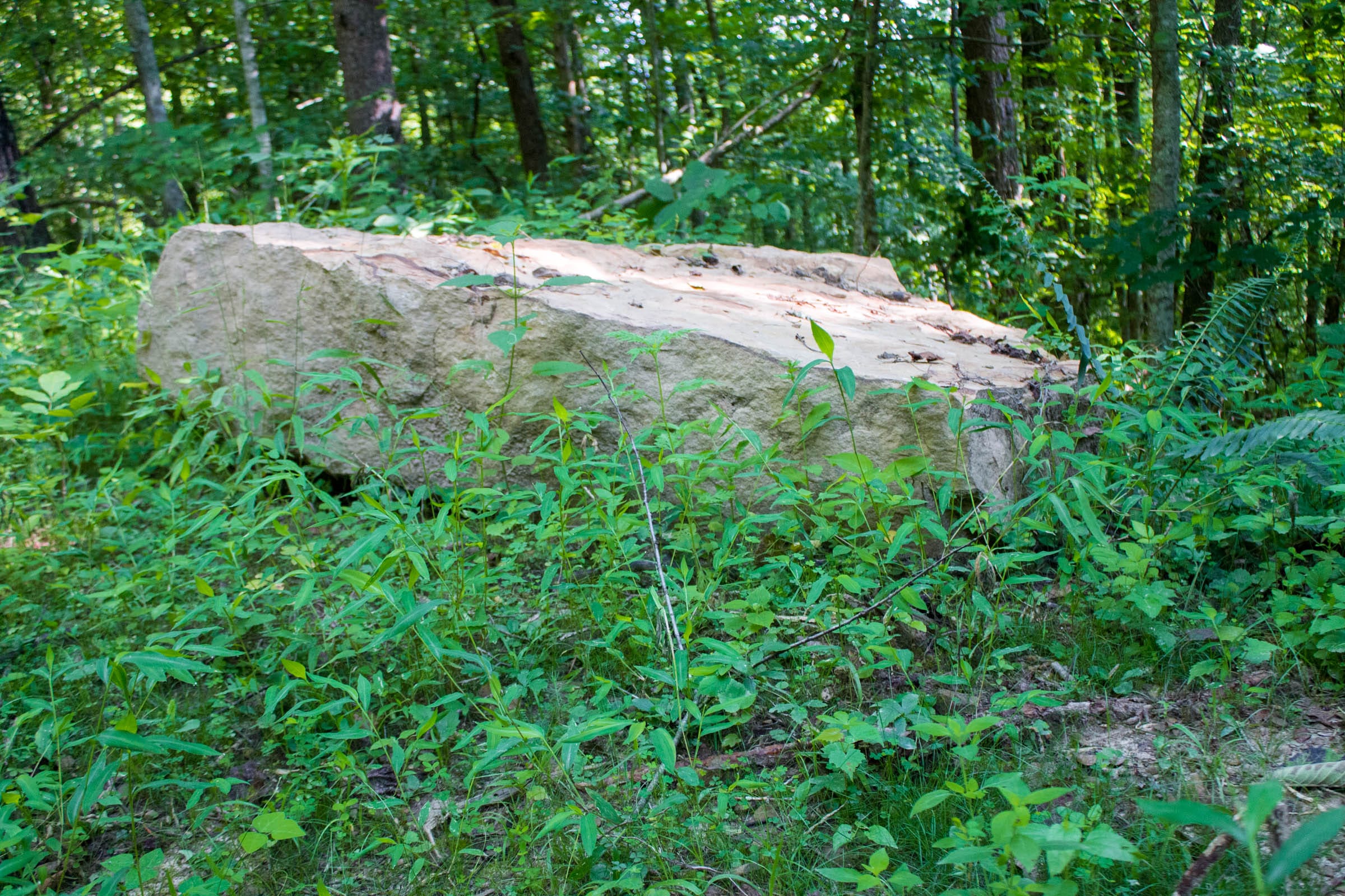 Bluewater Ridge Tract 21 photo 11