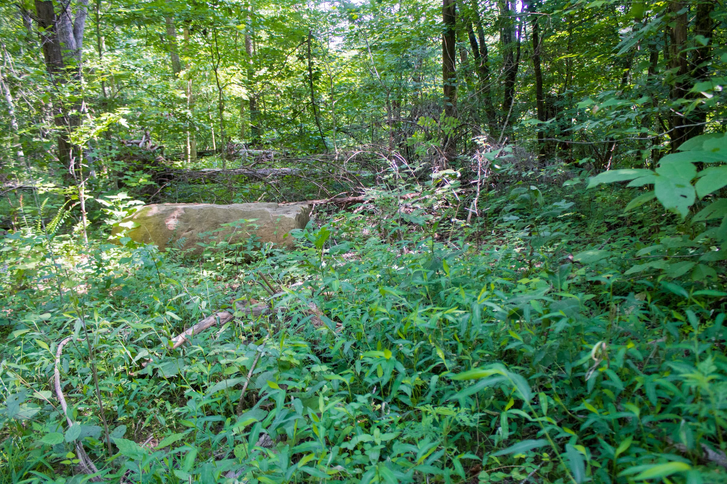 Bluewater Ridge Tract 21 photo 15