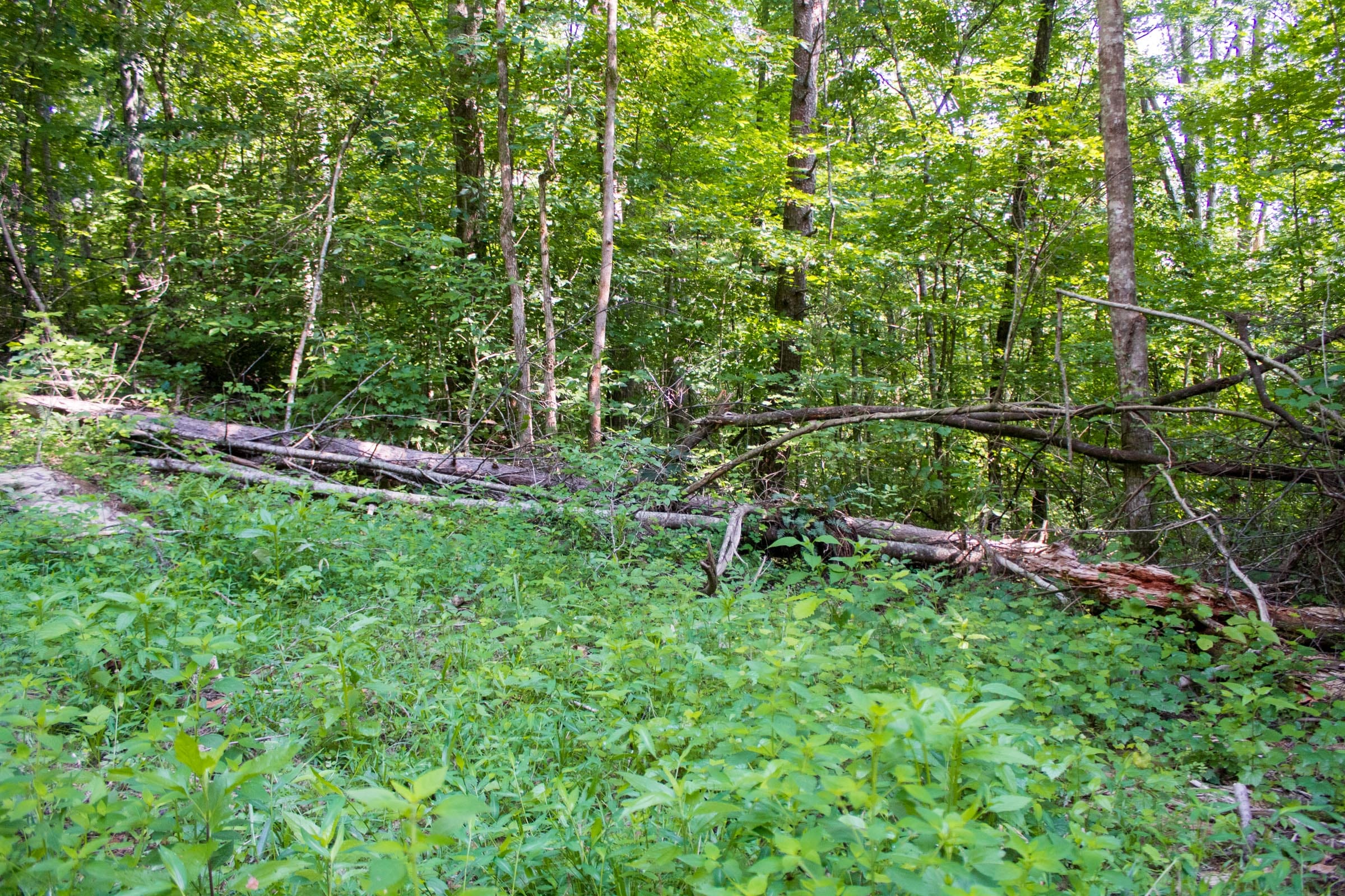Bluewater Ridge Tract 21 photo 16