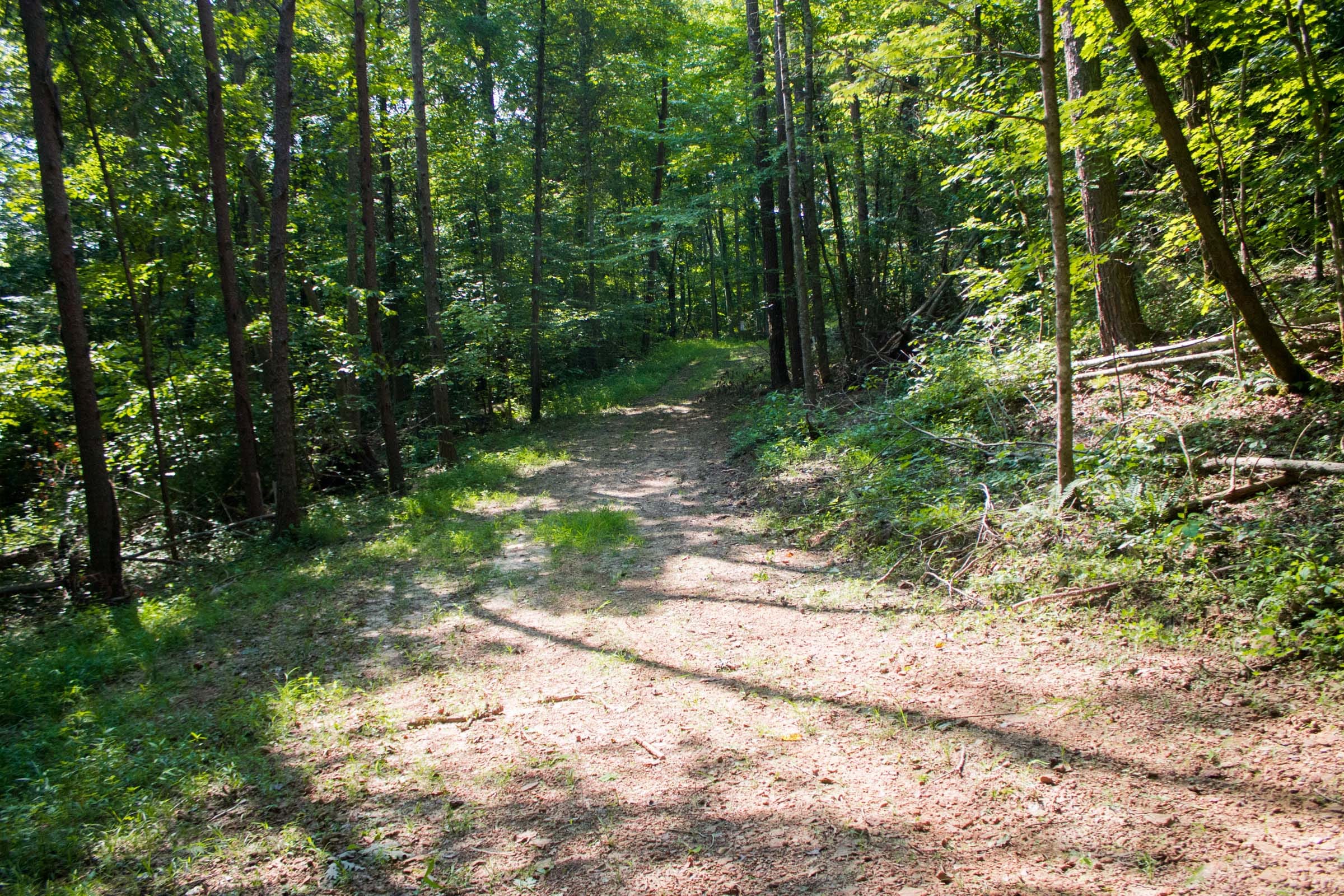 Bluewater Ridge Tract 21 photo 1