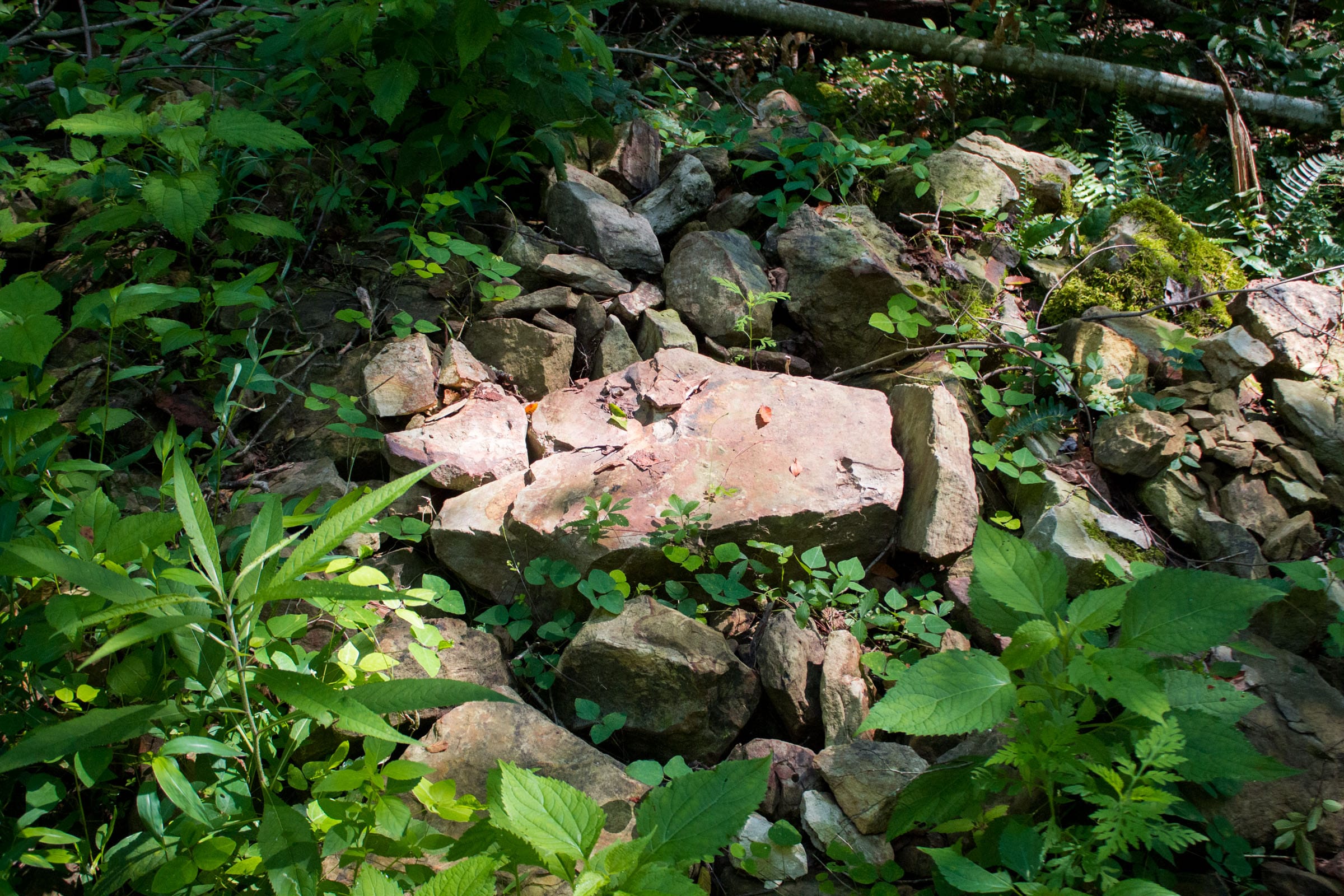 Bluewater Ridge Tract 21 photo 18