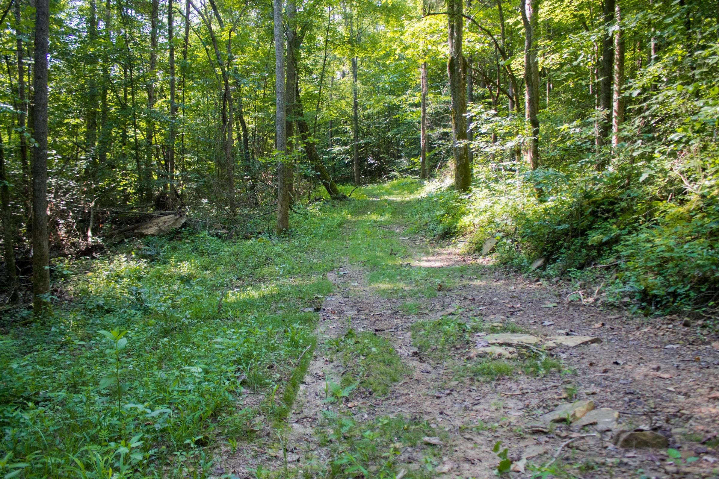 Bluewater Ridge Tract 21 photo 20