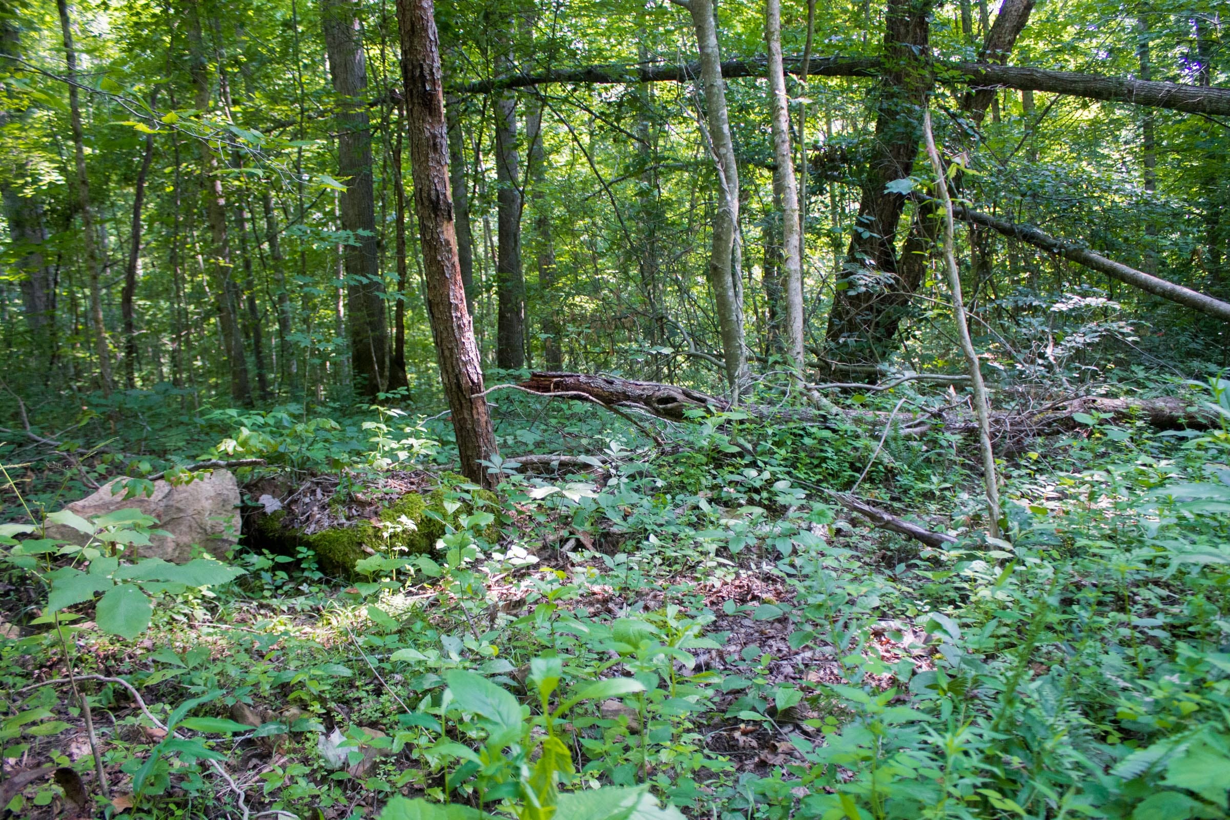 Bluewater Ridge Tract 21 photo 22