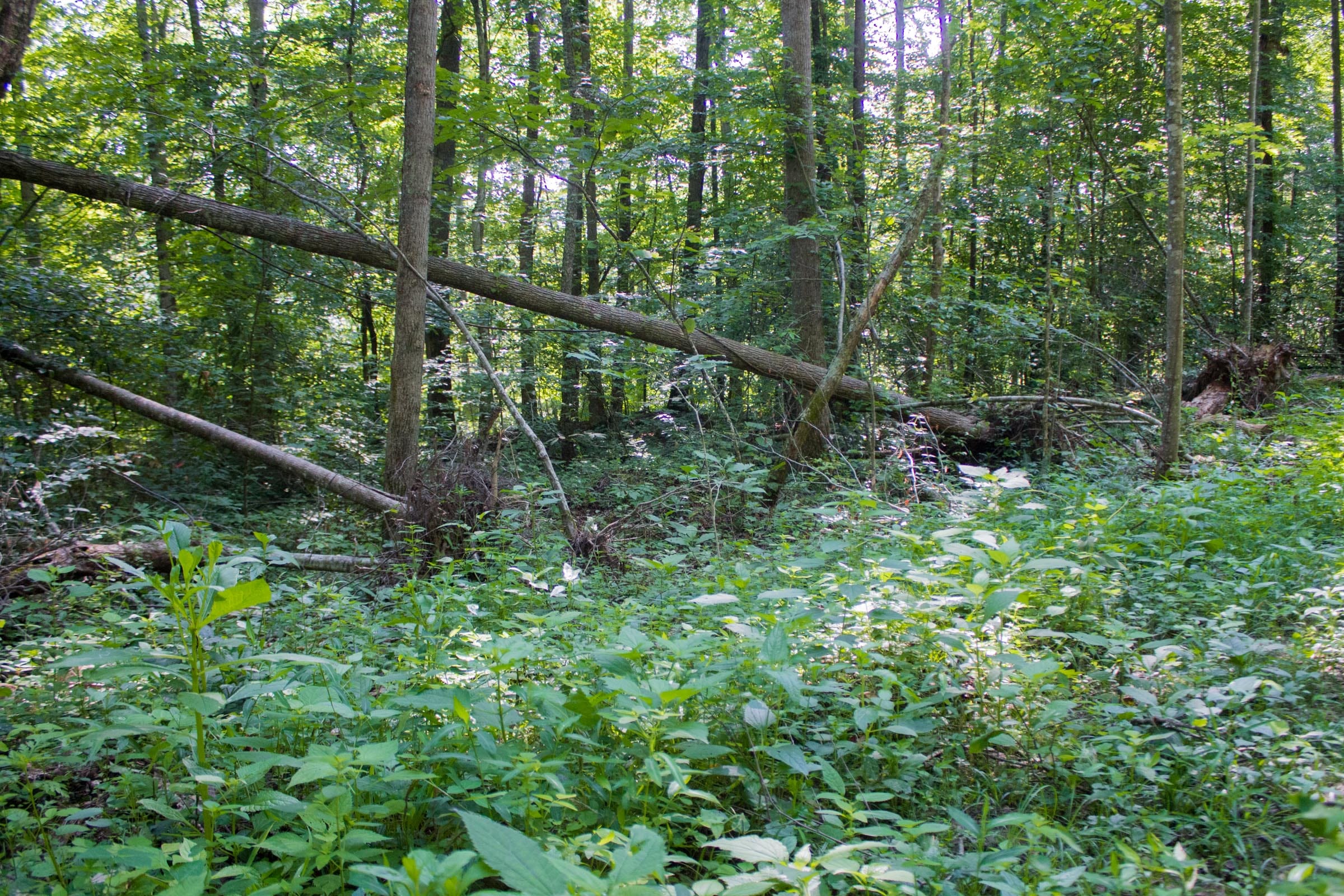 Bluewater Ridge Tract 21 photo 23