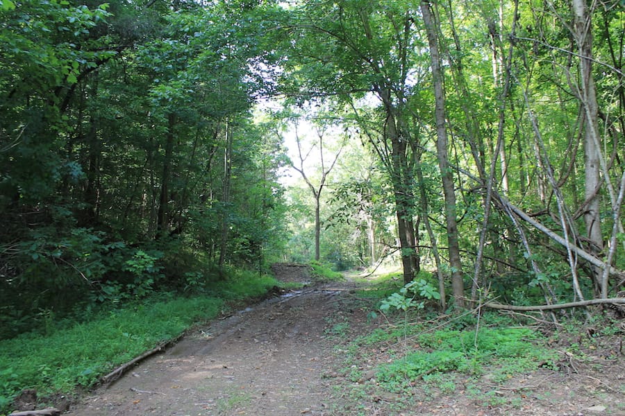 Cumberland Ridge Ranch Tract 10 photo 1