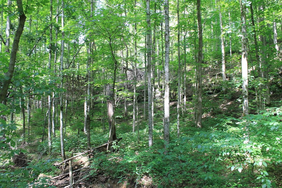 Cumberland Ridge Ranch Tract 10 photo 5