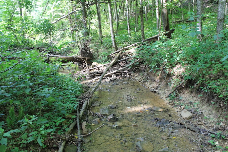 Cumberland Ridge Ranch Tract 10 photo 7