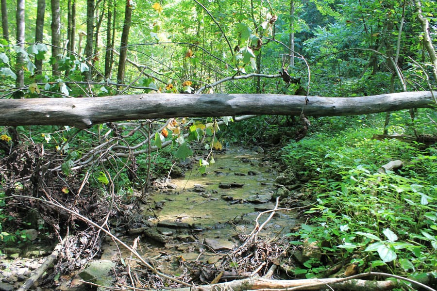 Cumberland Ridge Ranch Tract 10 photo 8