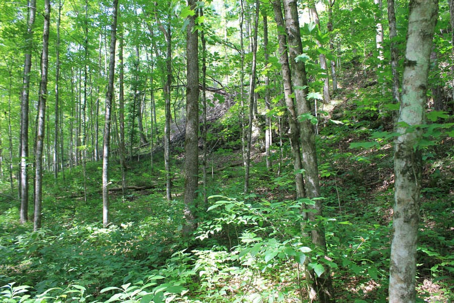 Cumberland Ridge Ranch Tract 10 photo 10