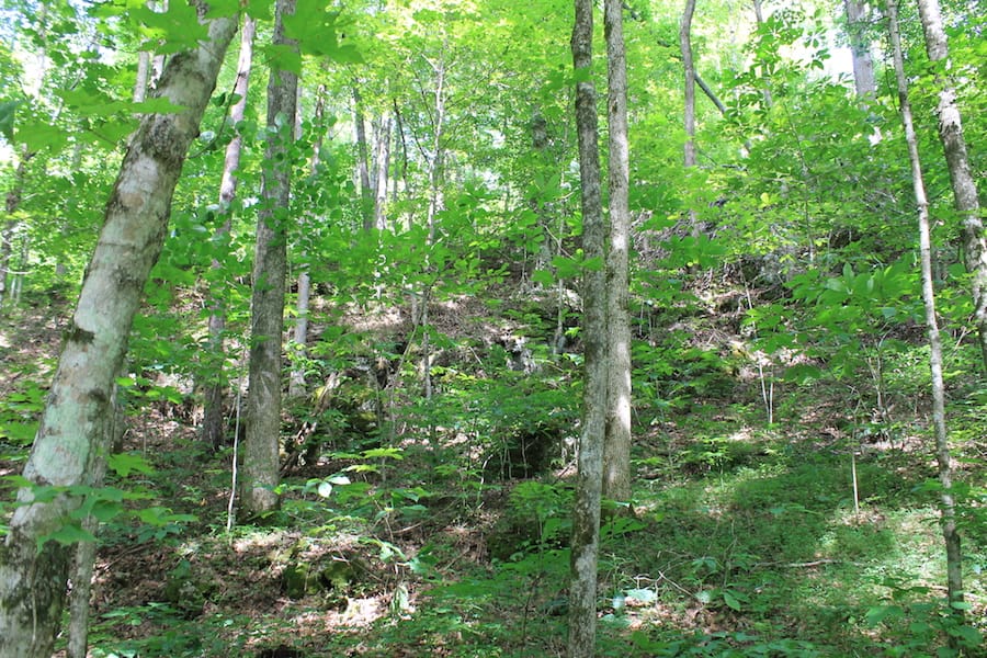 Cumberland Ridge Ranch Tract 10 photo 11