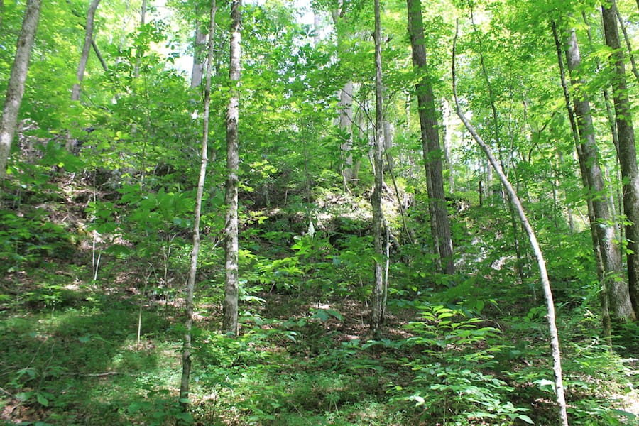 Cumberland Ridge Ranch Tract 10 photo 12