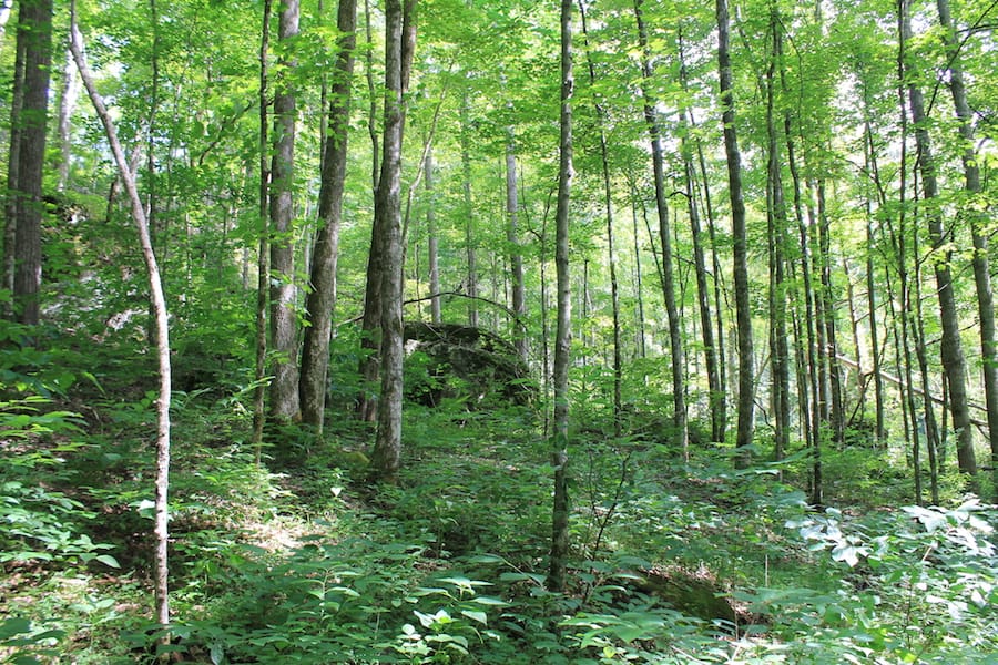 Cumberland Ridge Ranch Tract 10 photo 13