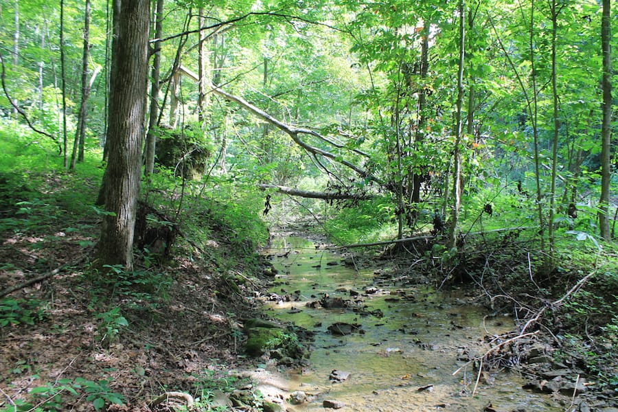 Cumberland Ridge Ranch Tract 10 photo 17