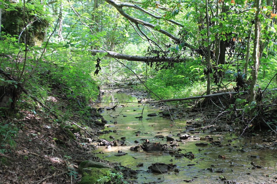 Cumberland Ridge Ranch Tract 10 photo 18