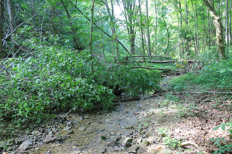 Cumberland Ridge Ranch Tract 10 photo 19