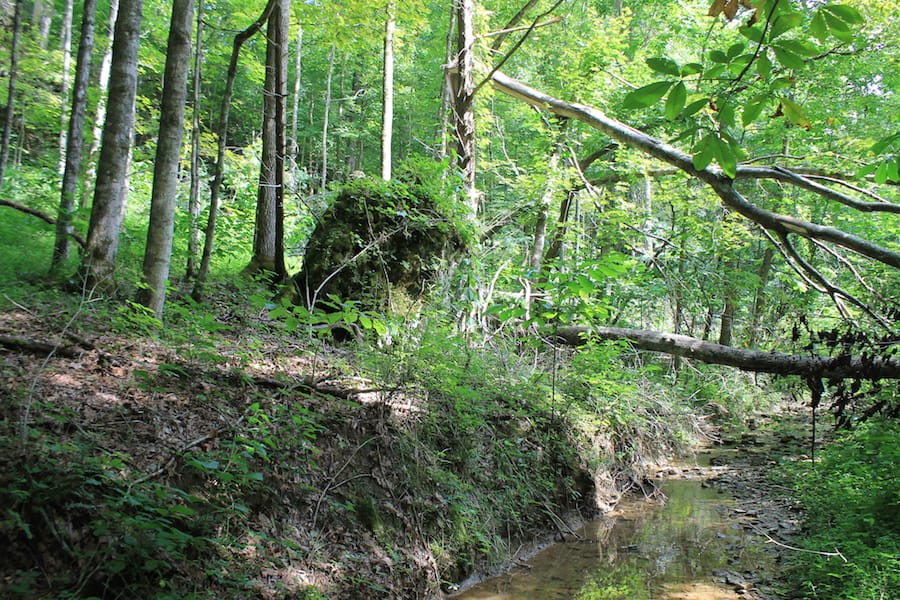 Cumberland Ridge Ranch Tract 10 photo 20