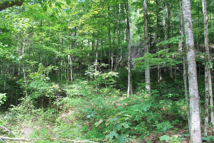 Cumberland Ridge Ranch Tract 10 photo 21