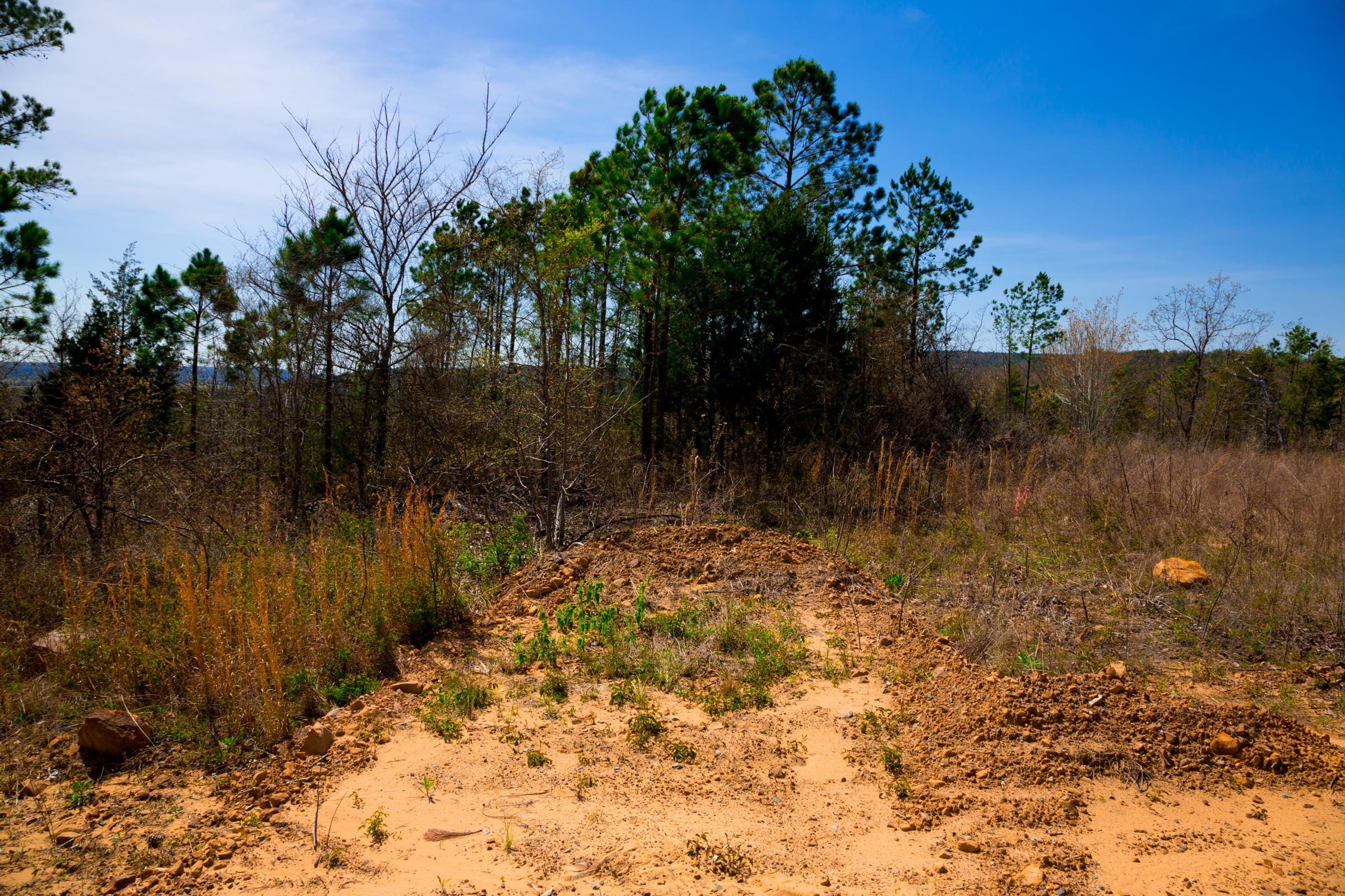 Stone Creek Phase II Tract 224 photo 3