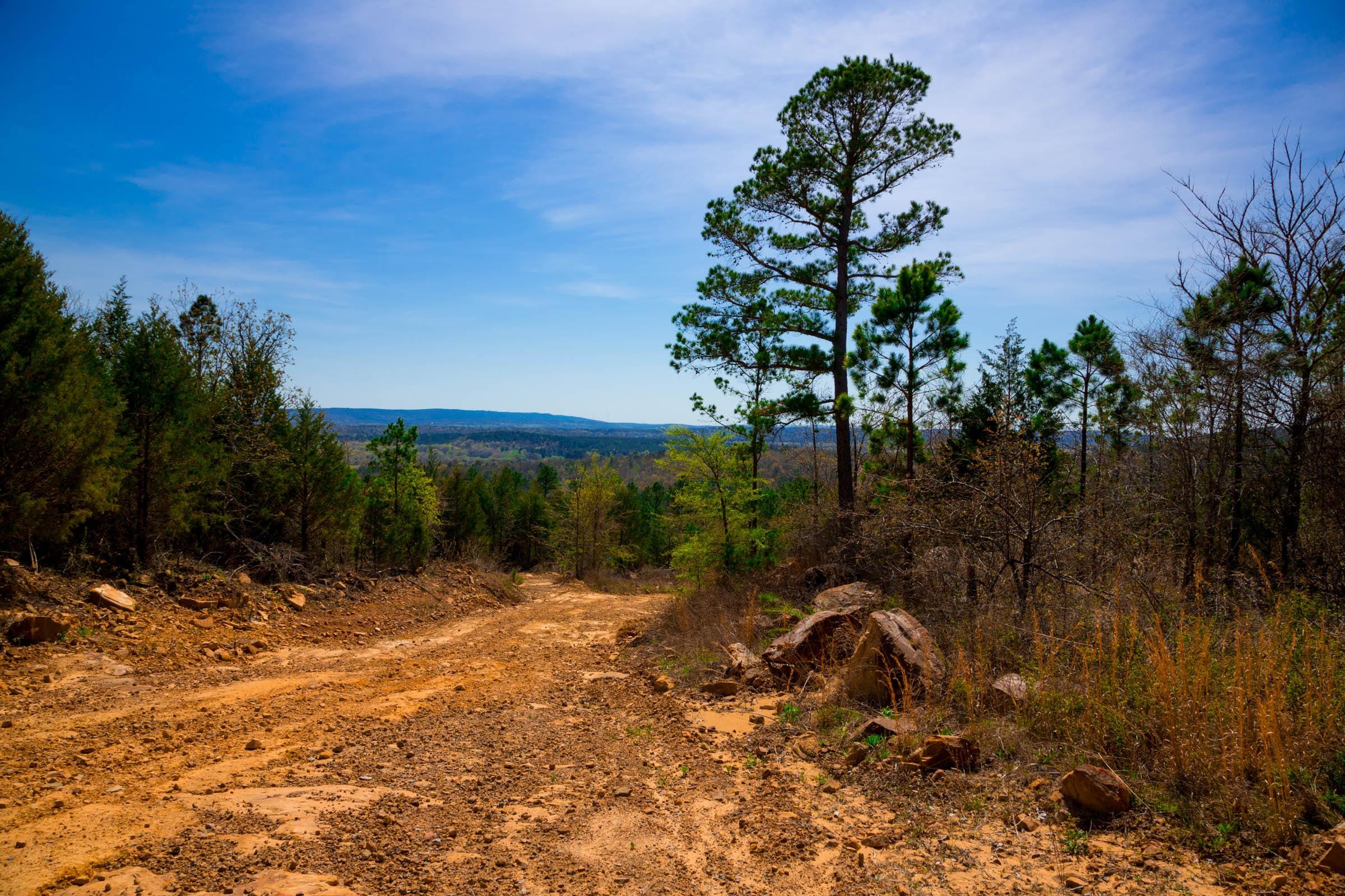 Stone Creek Phase II Tract 224 photo 4