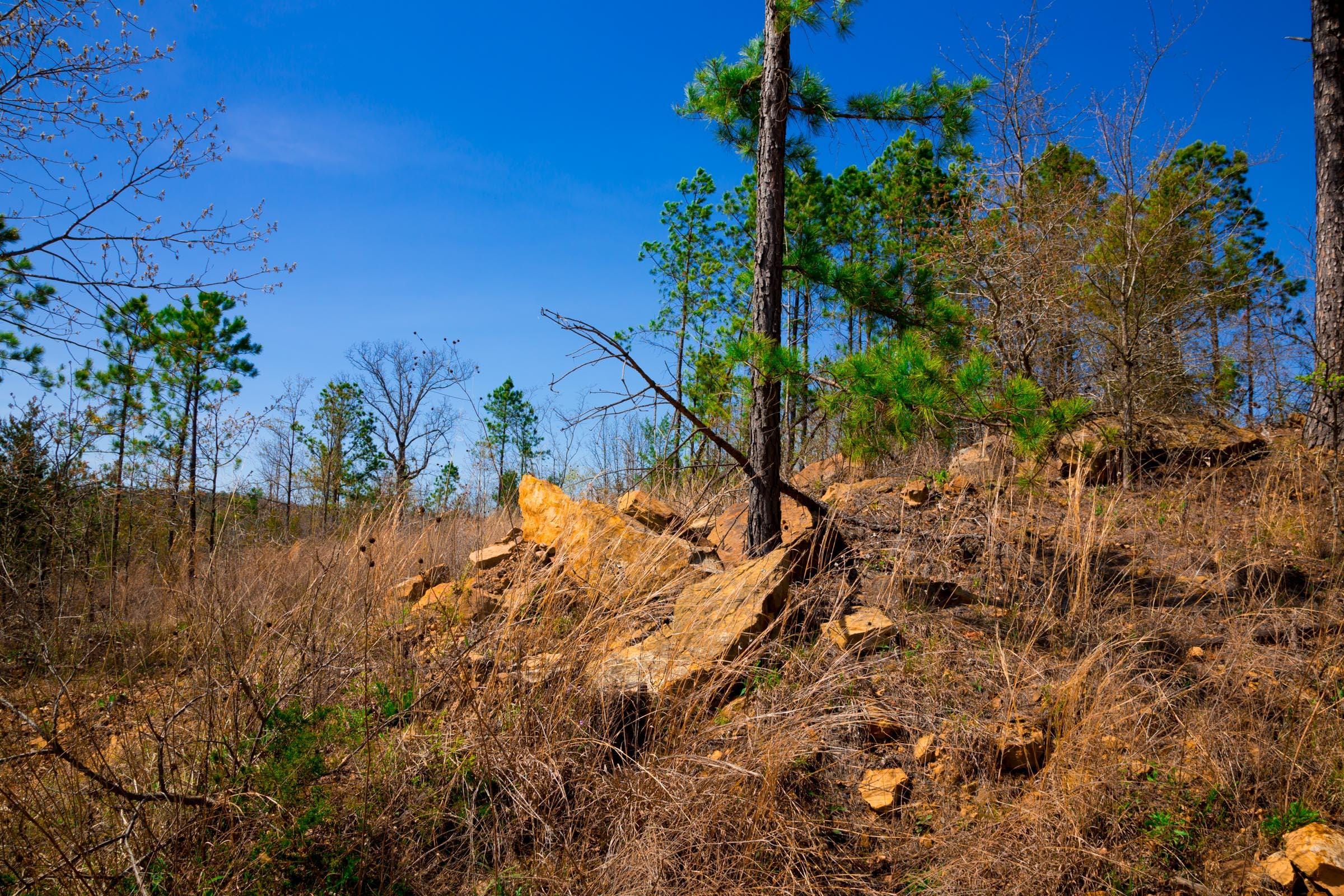 Stone Creek Phase II Tract 224 photo 5