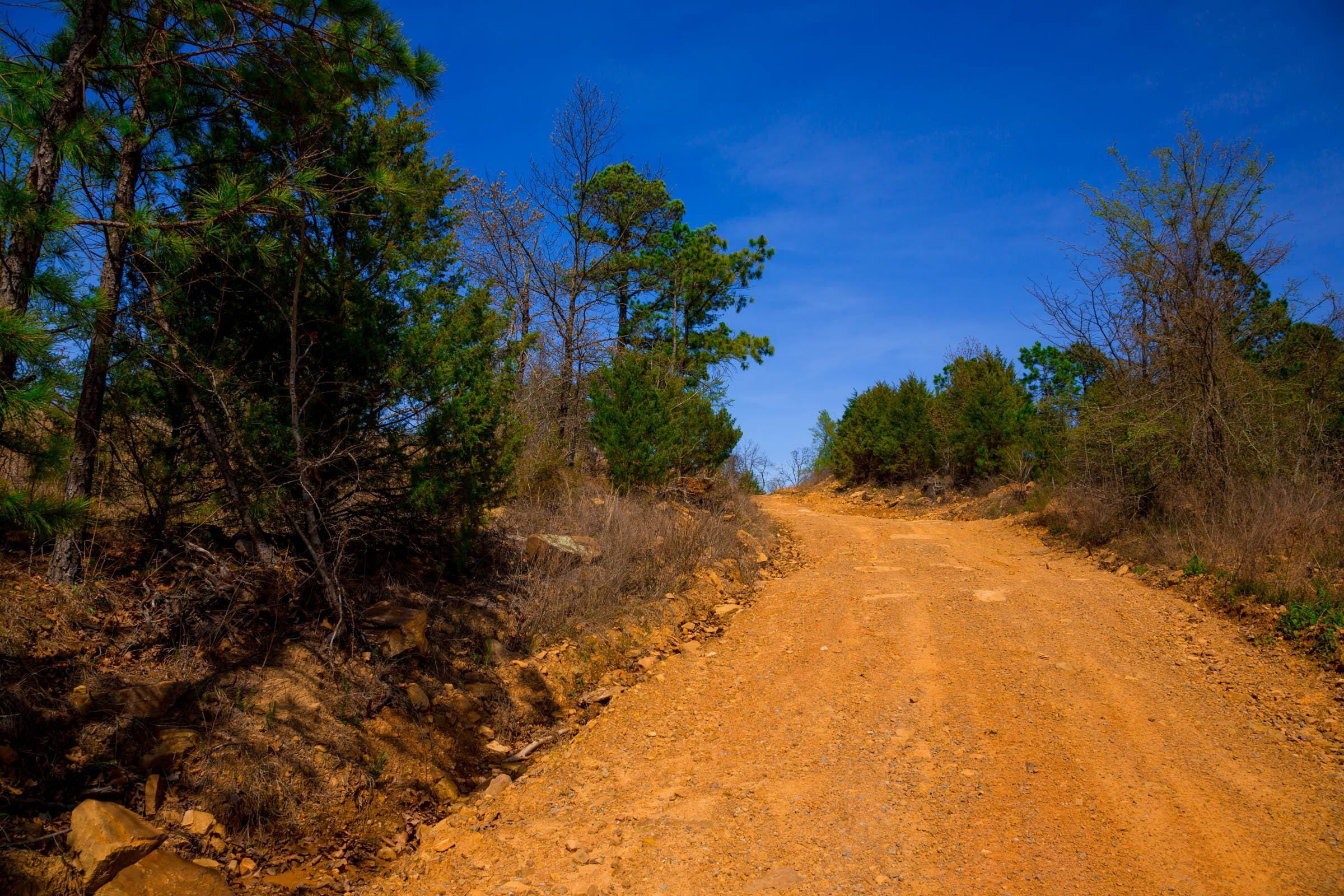 Stone Creek Phase II Tract 224 photo 6