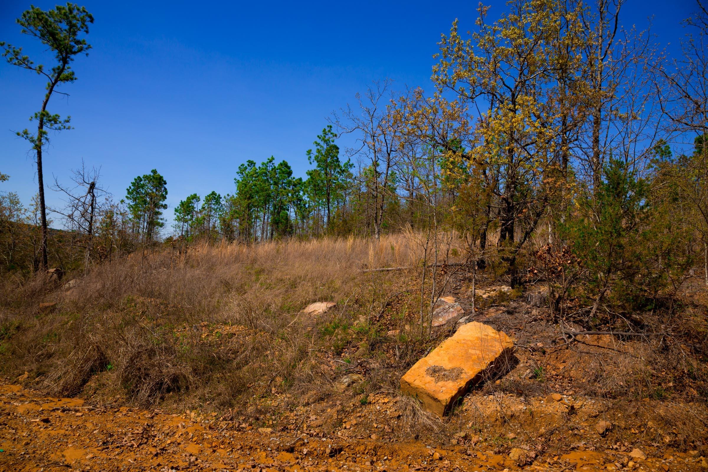 Stone Creek Phase II Tract 224 photo 7