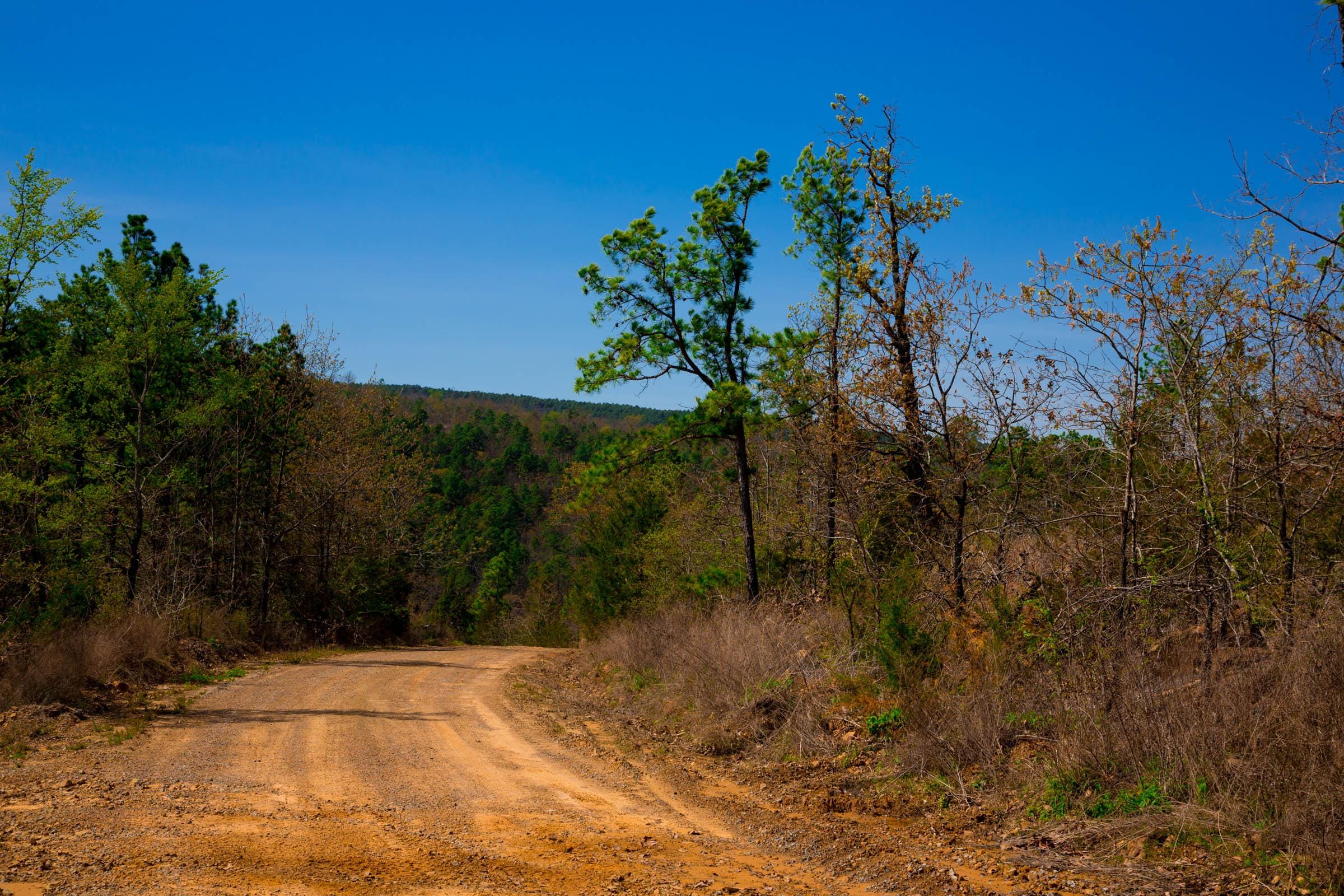 Stone Creek Phase II Tract 224 photo 8