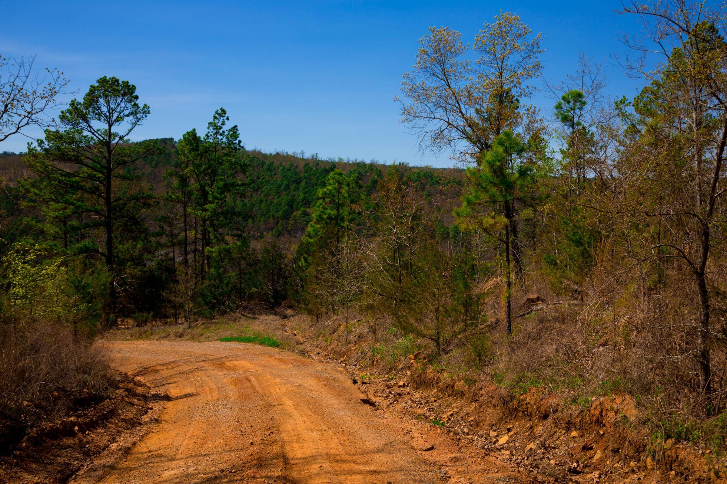 Stone Creek Phase II Tract 224 photo 9