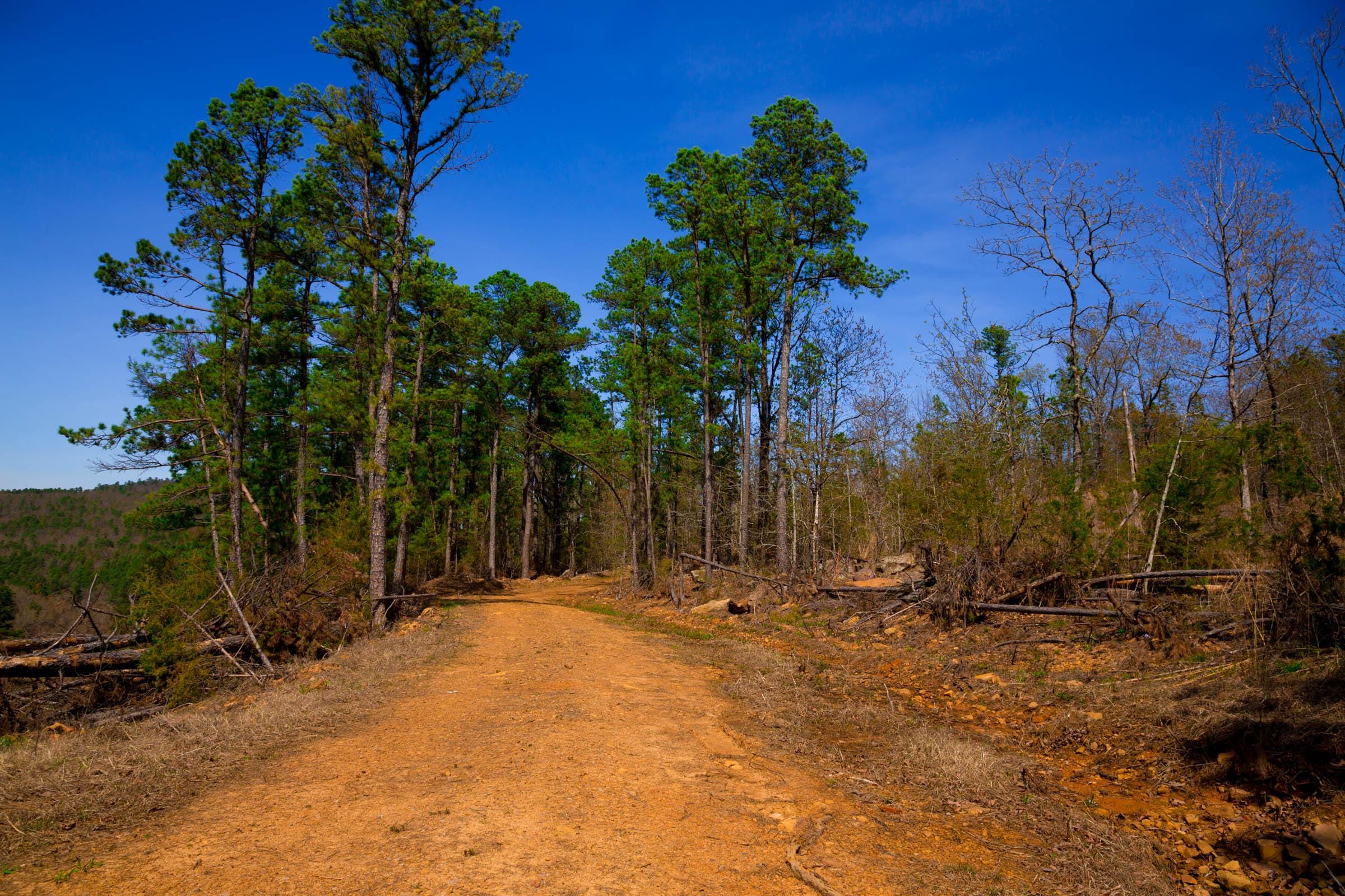 Stone Creek Phase II Tract 224 photo 10