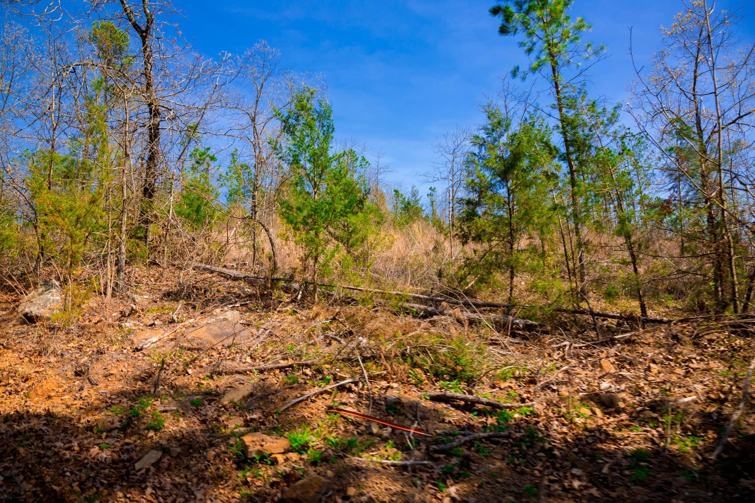 Stone Creek Phase II Tract 224 photo 11