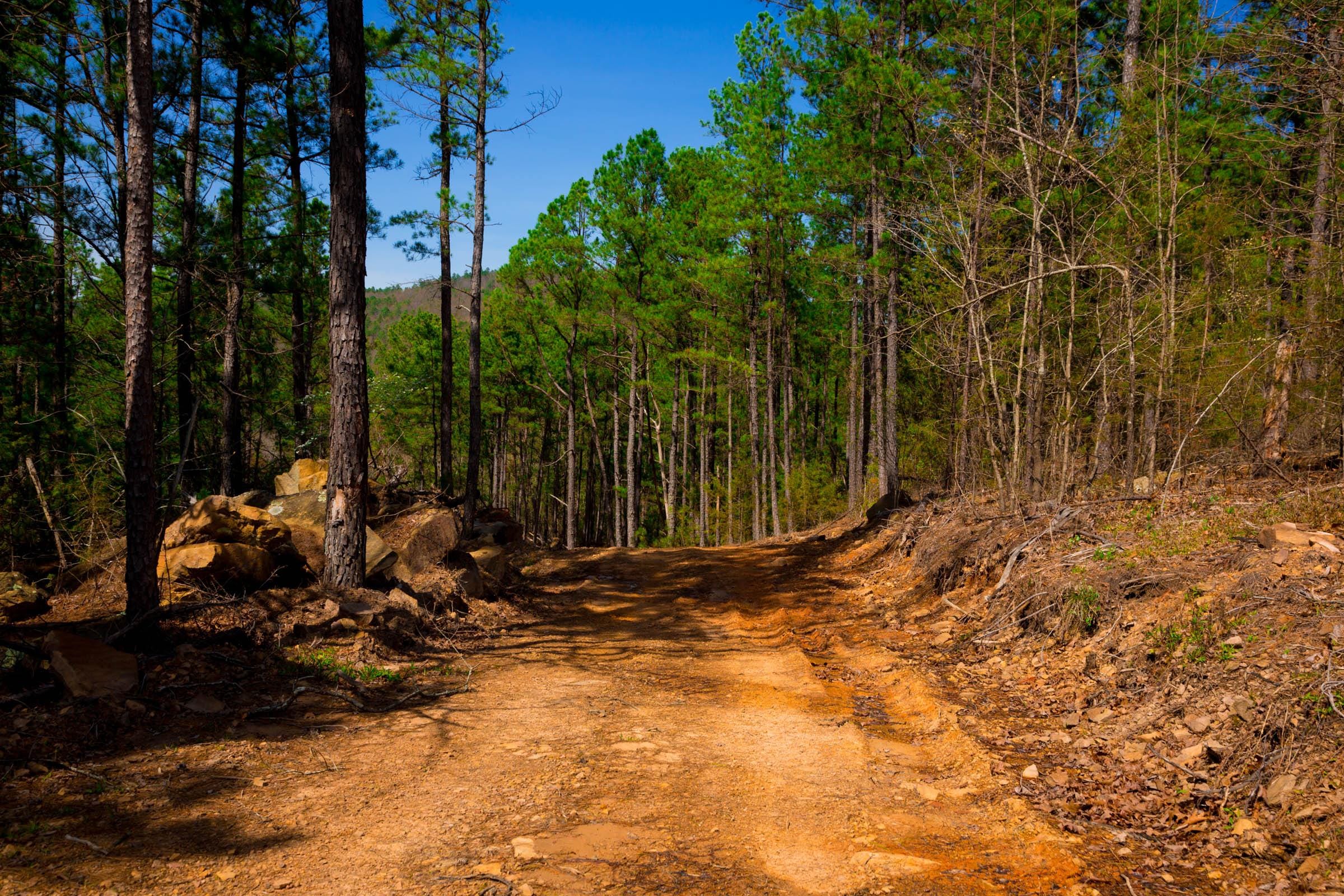 Stone Creek Phase II Tract 224 photo 12