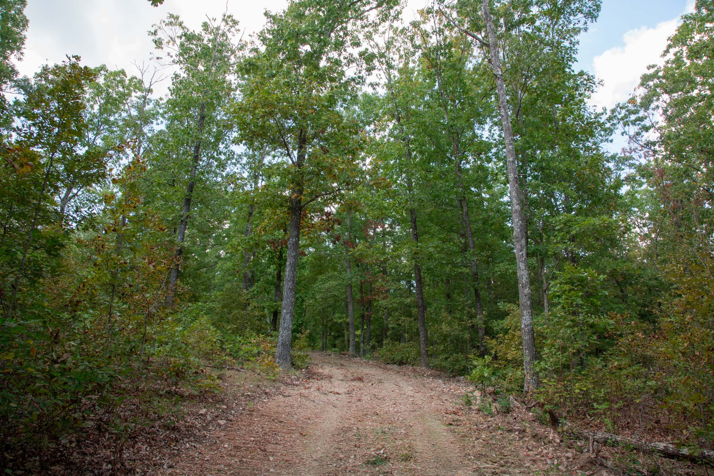 Wagon Wheel Ranch Tract 15 photo 3