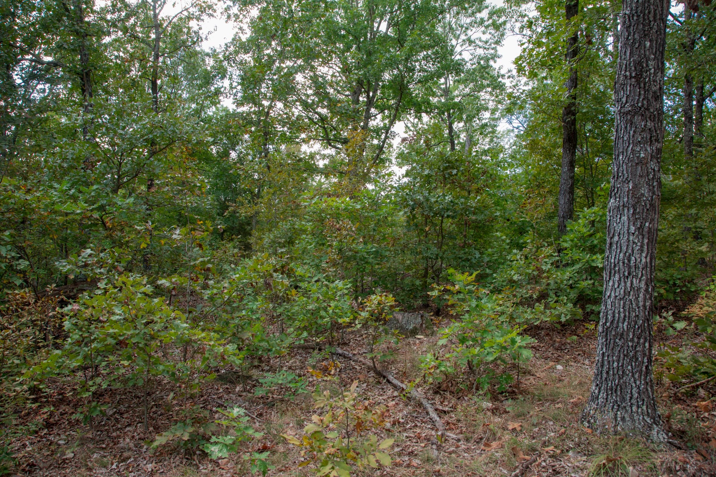 Wagon Wheel Ranch Tract 15 photo 4
