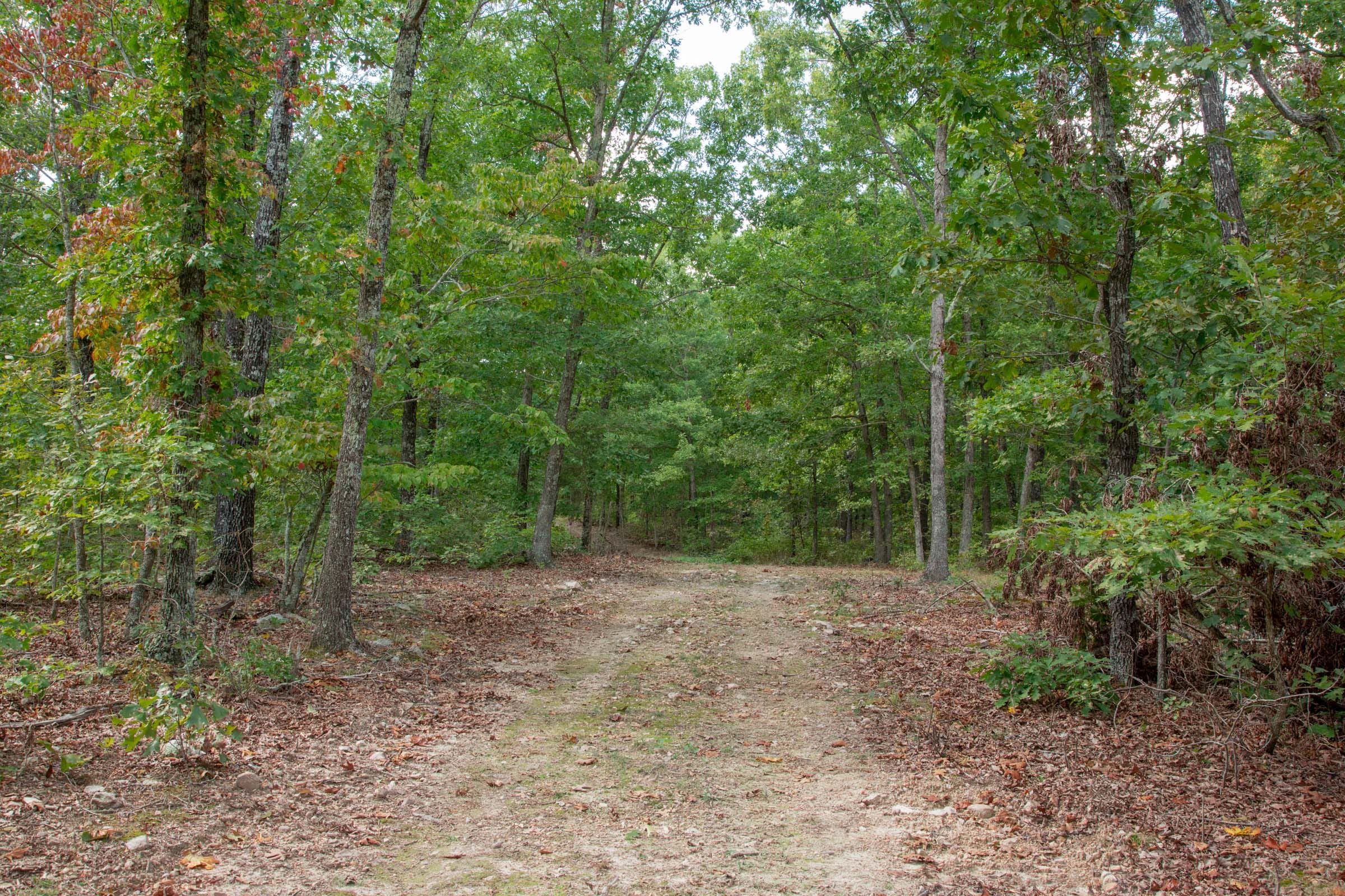 Wagon Wheel Ranch Tract 15 photo 5