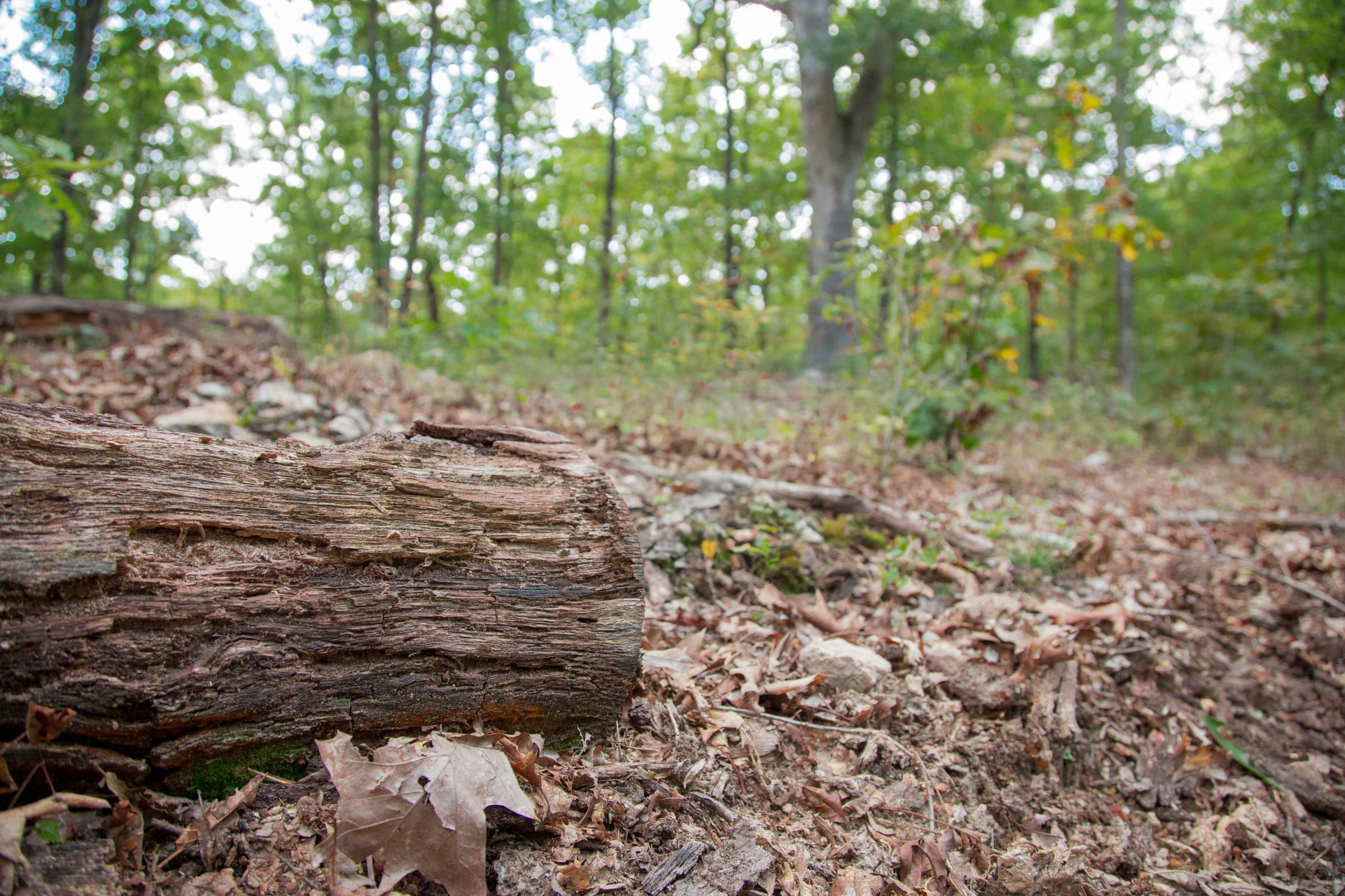 Wagon Wheel Ranch Tract 15 photo 6