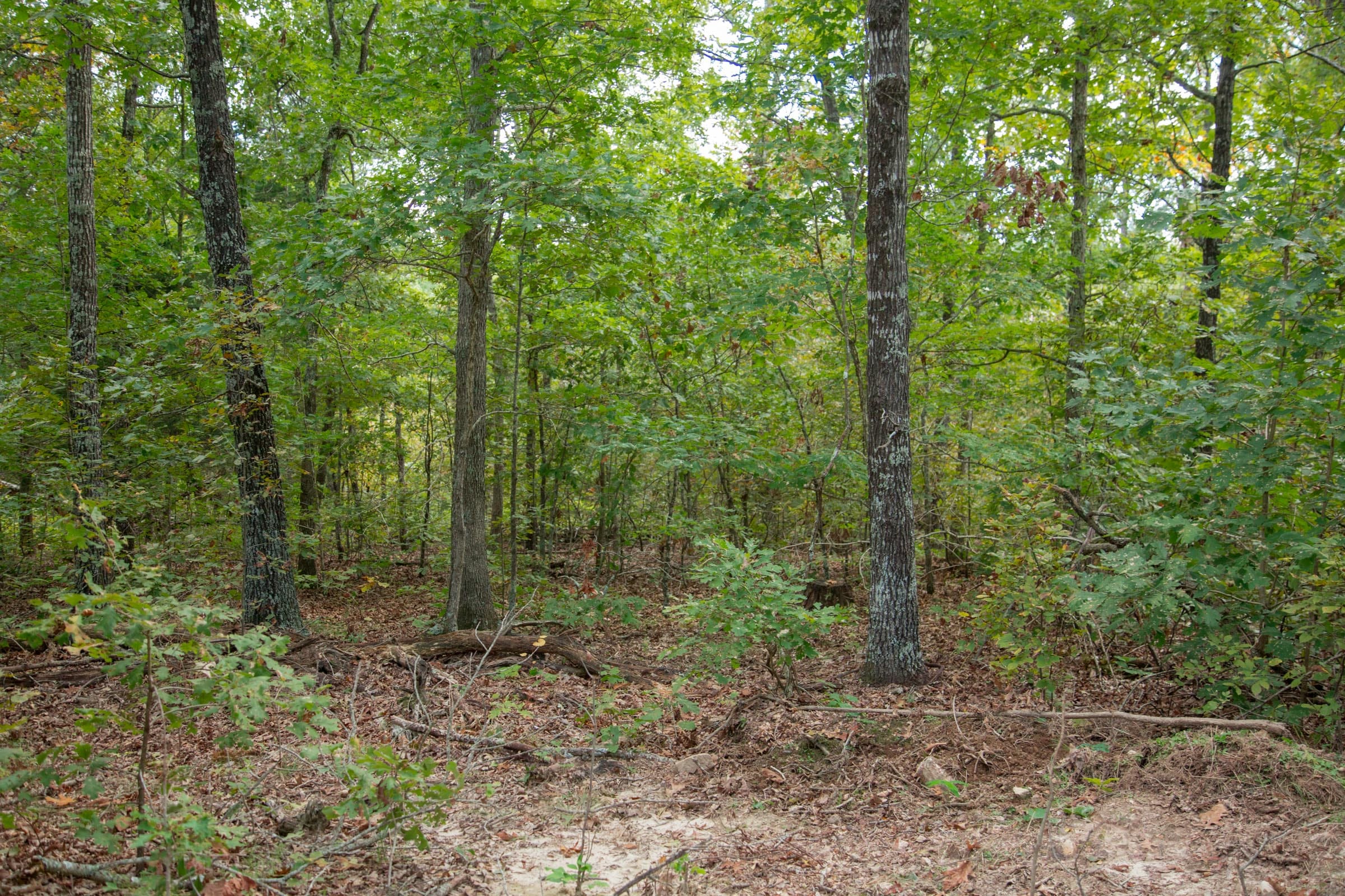 Wagon Wheel Ranch Tract 15 photo 8
