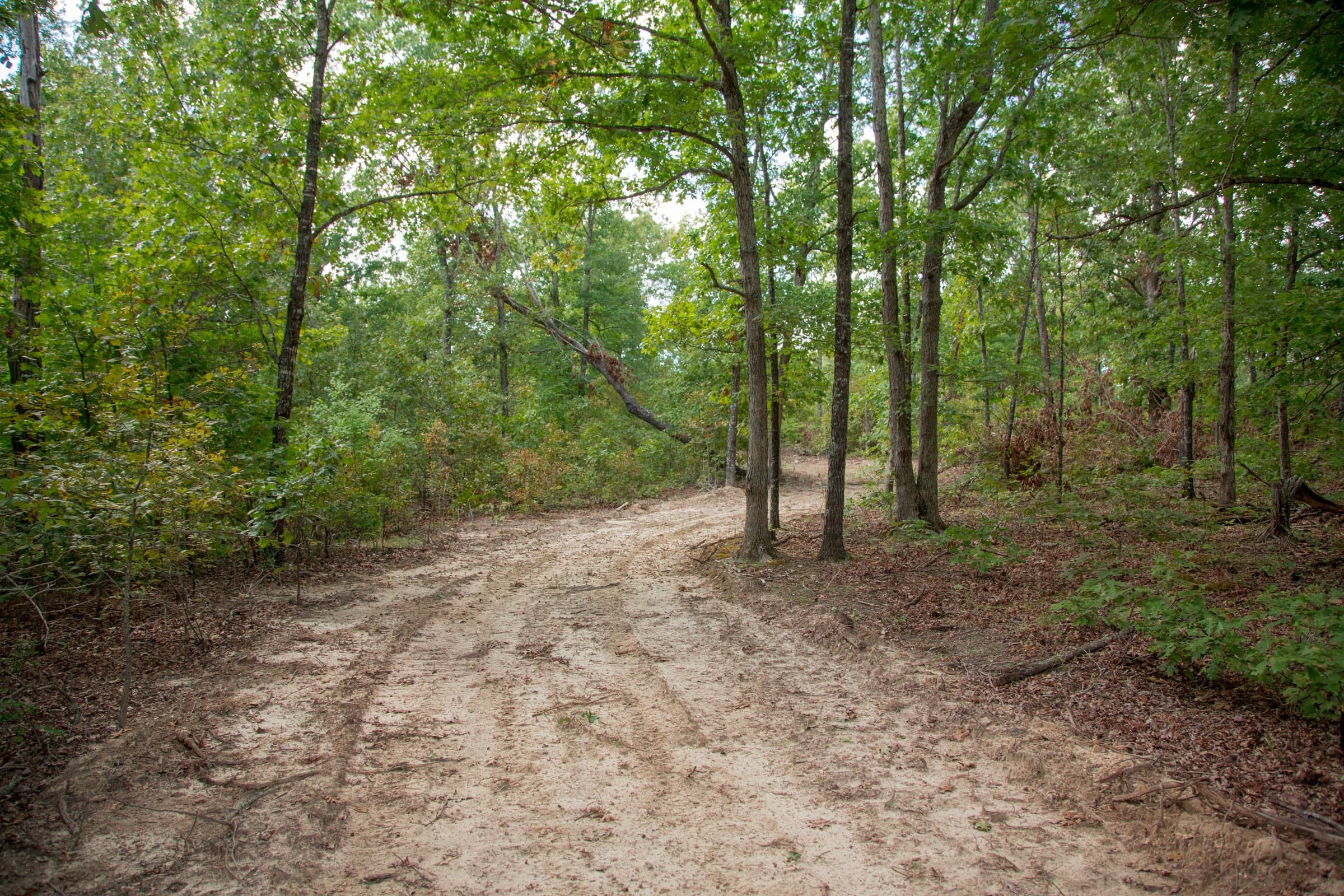 Wagon Wheel Ranch Tract 15 photo 9