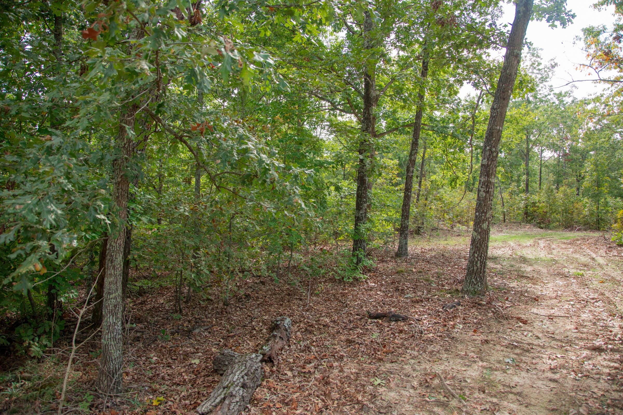 Wagon Wheel Ranch Tract 15 photo 10