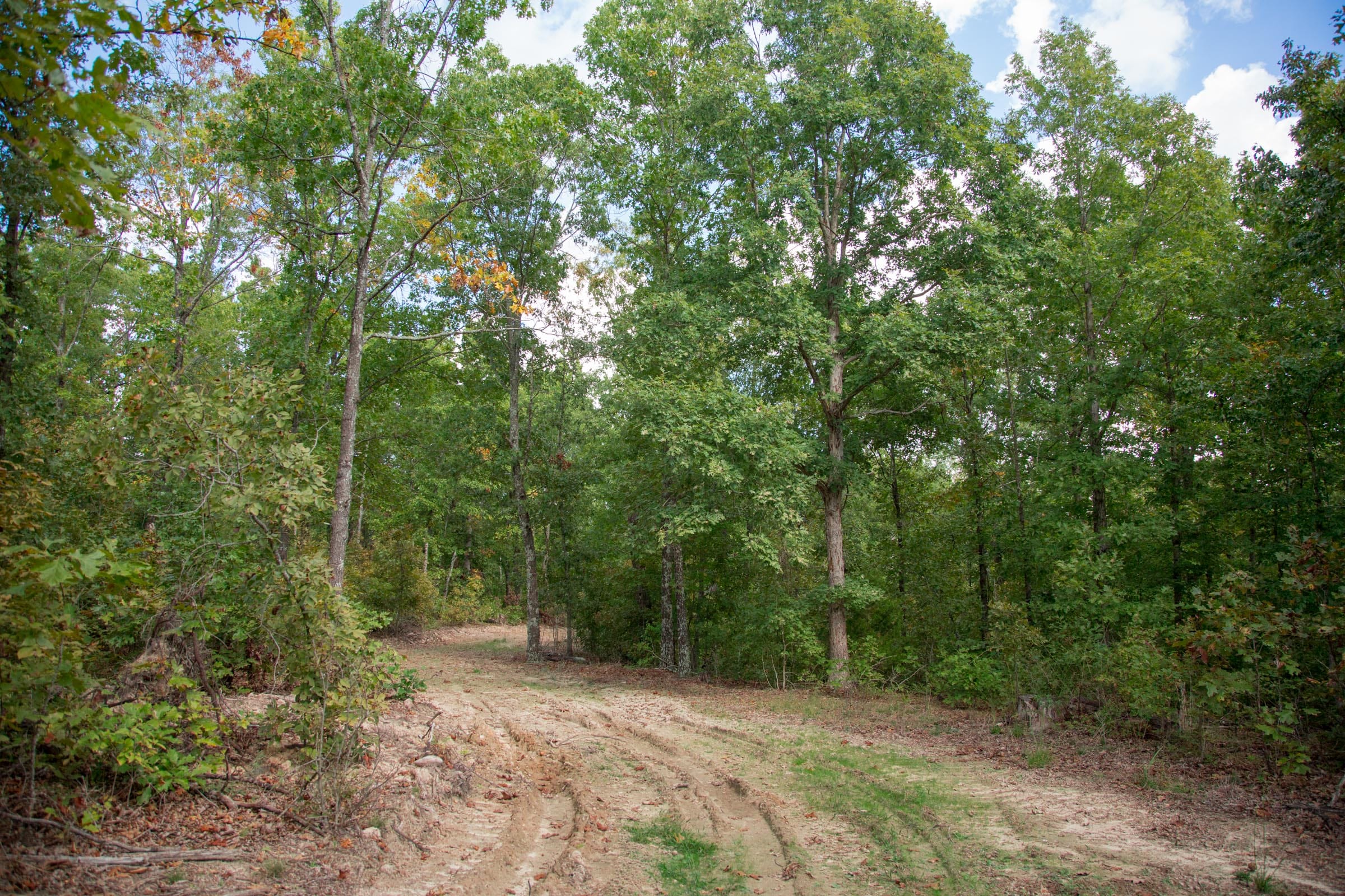 Wagon Wheel Ranch Tract 15 photo 11