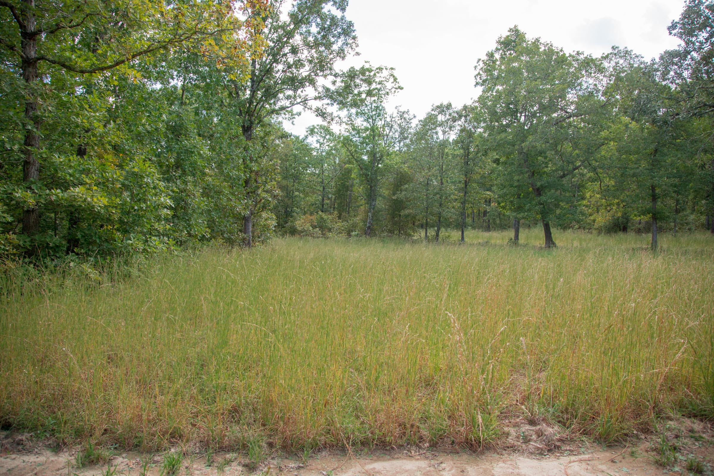 Wagon Wheel Ranch Tract 15 photo 12