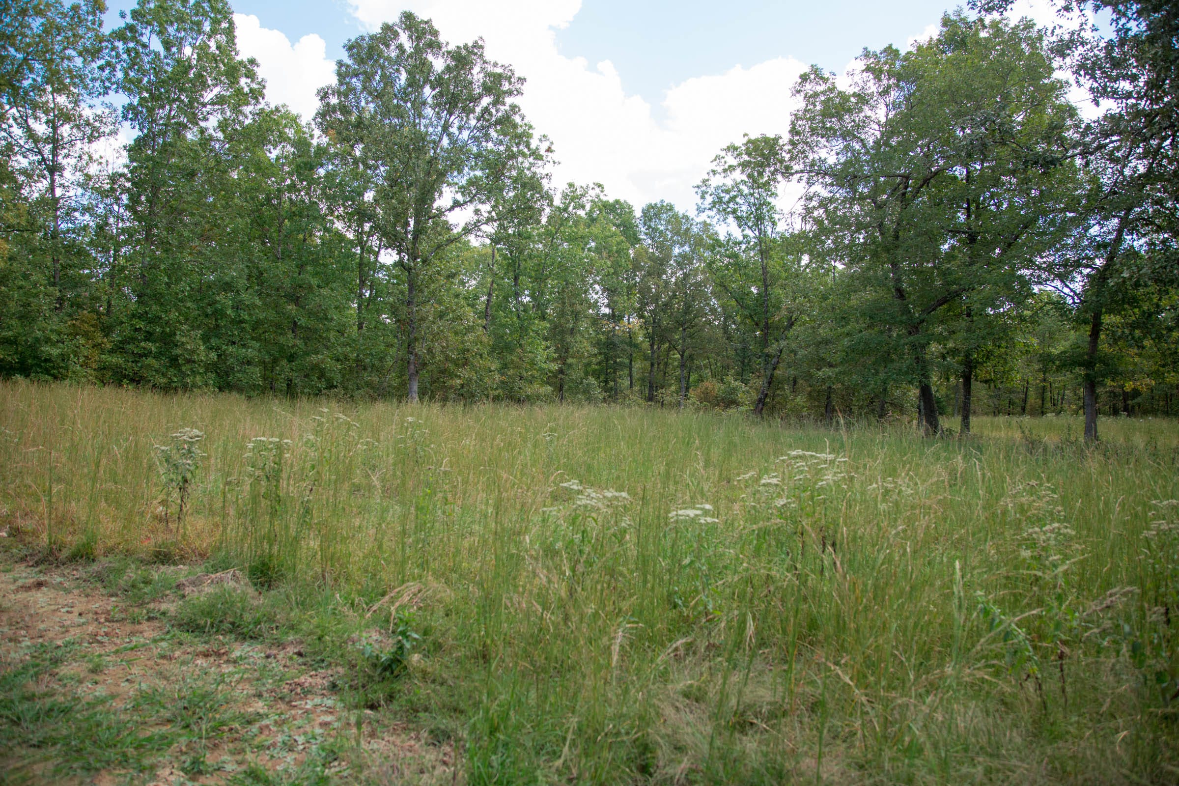 Wagon Wheel Ranch Tract 15 photo 1