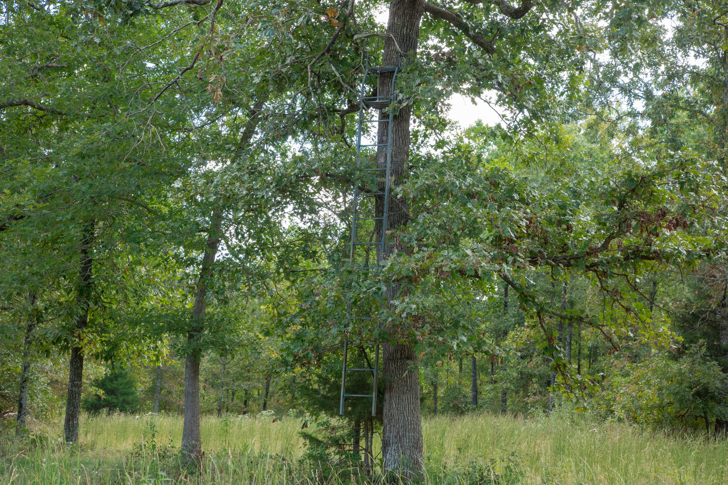 Wagon Wheel Ranch Tract 15 photo 13