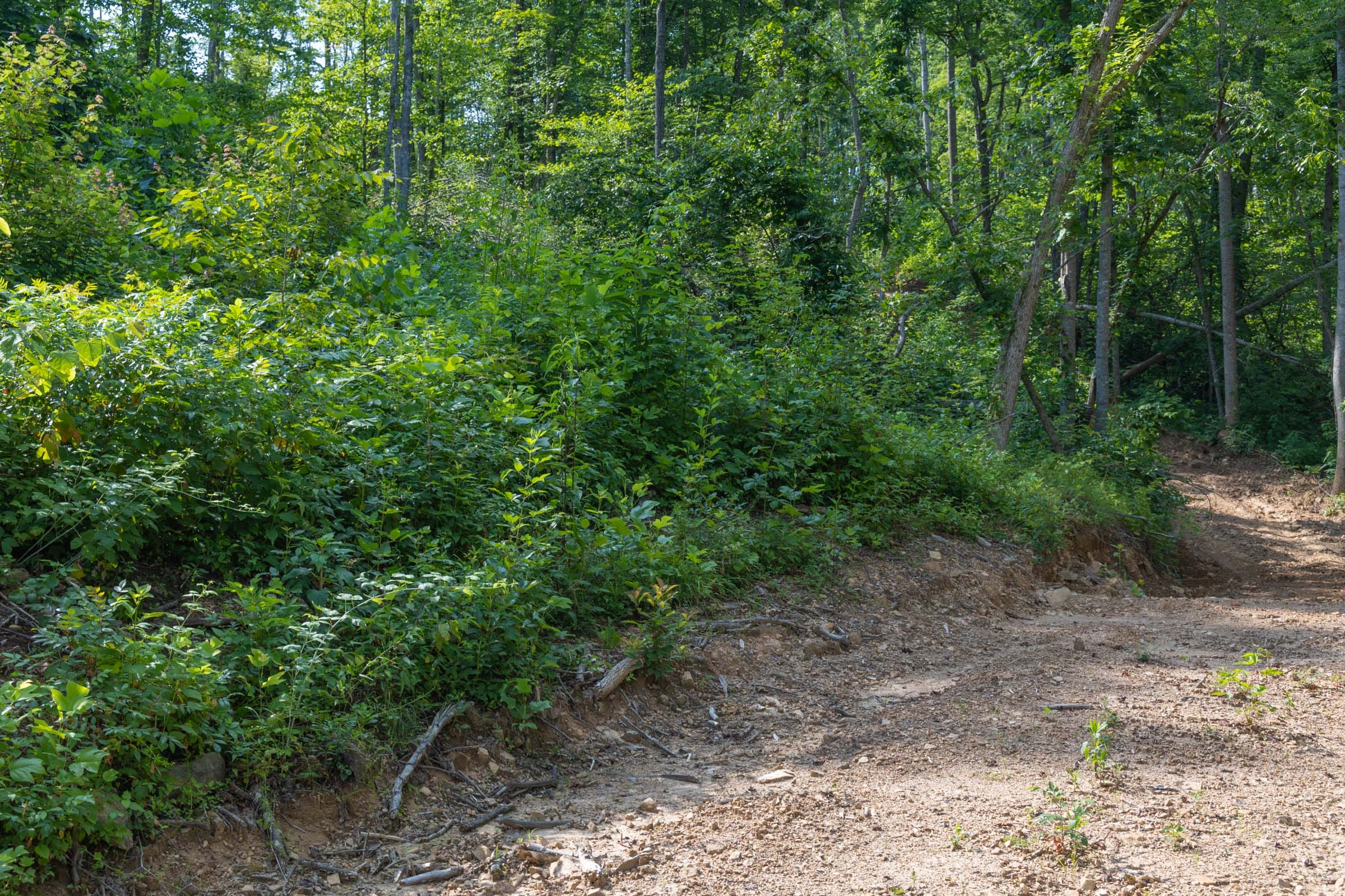 Creek Hollow Phase II Tract 76 photo 6