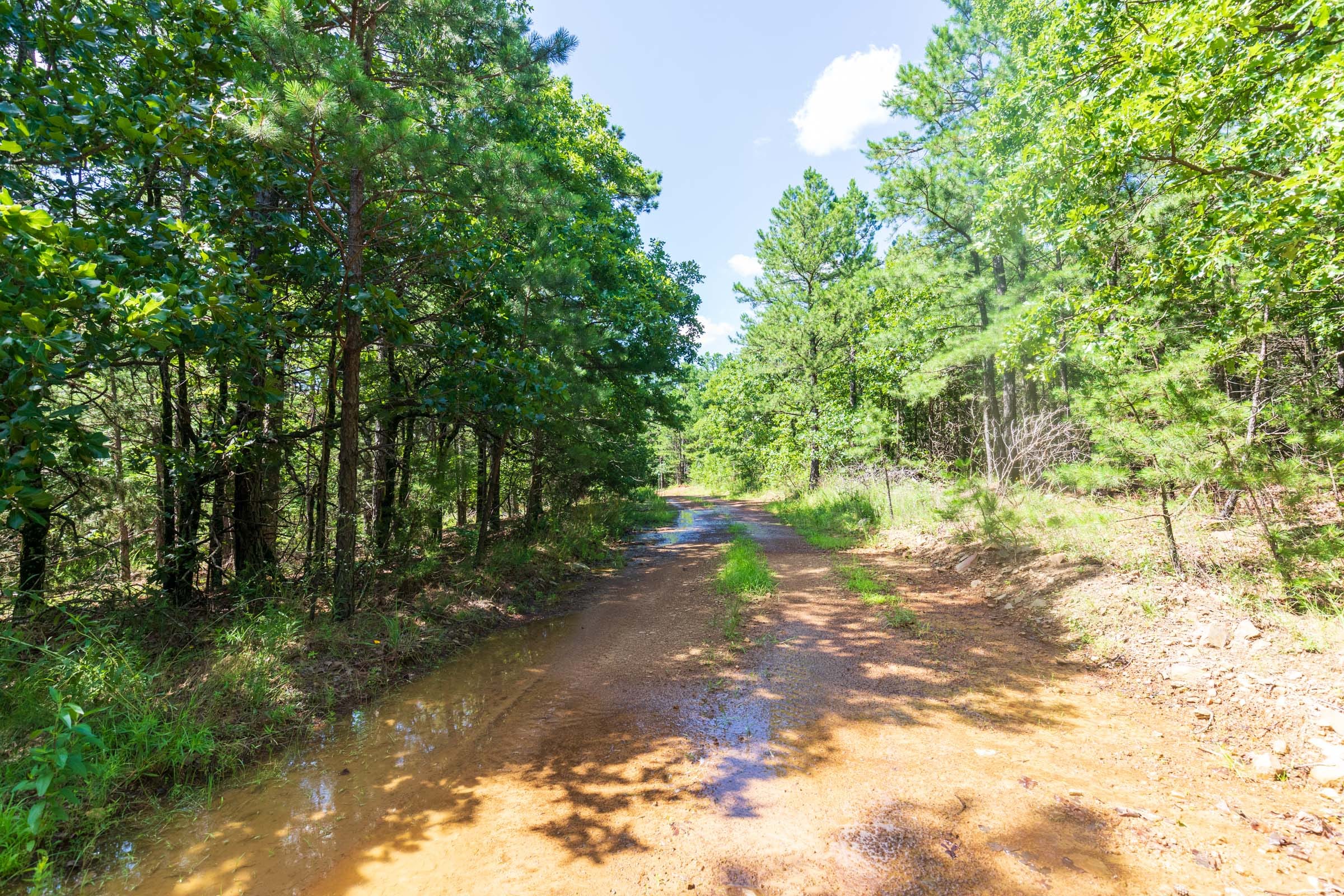 Stone Bridge Phase VI Tract 429 photo 6