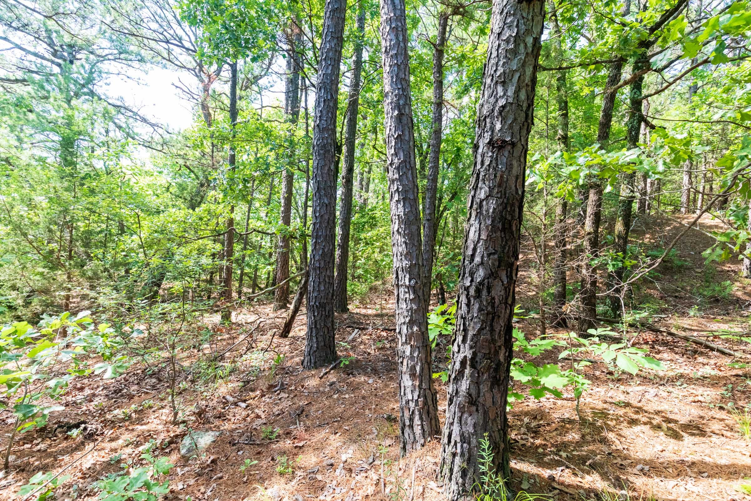 Stone Bridge Phase VI Tract 429 photo 3
