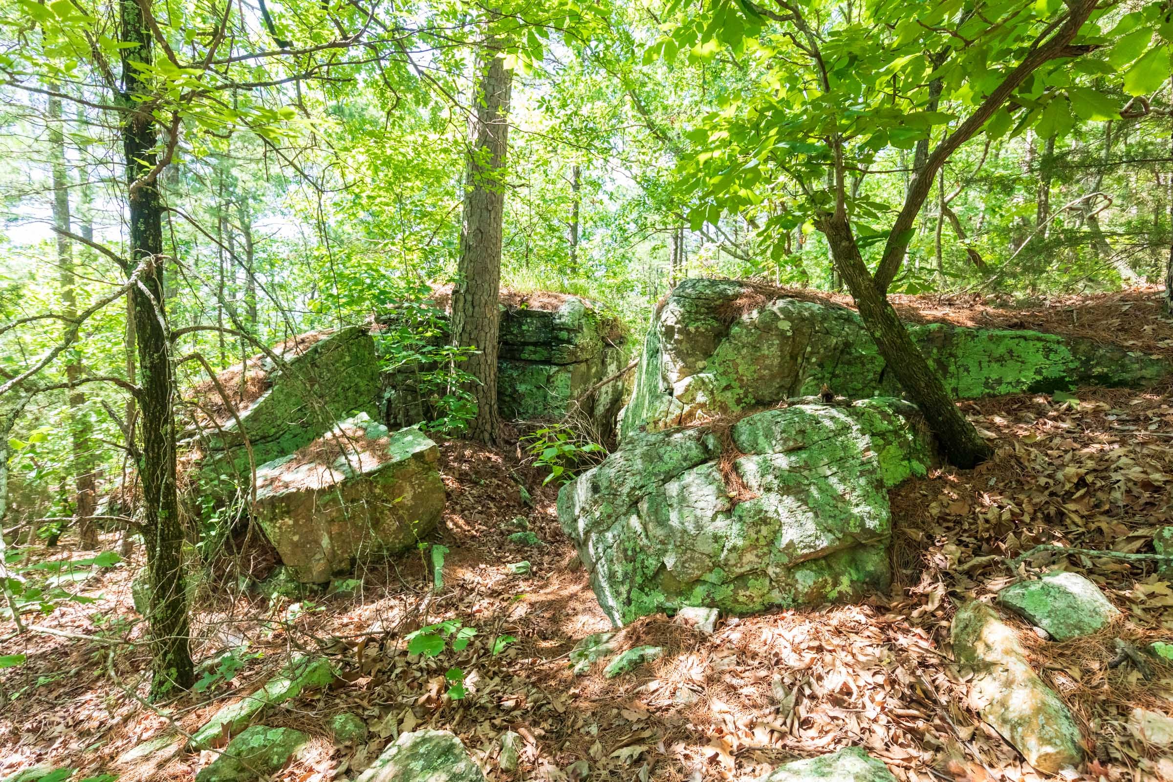 Stone Bridge Phase VI Tract 429 photo 4
