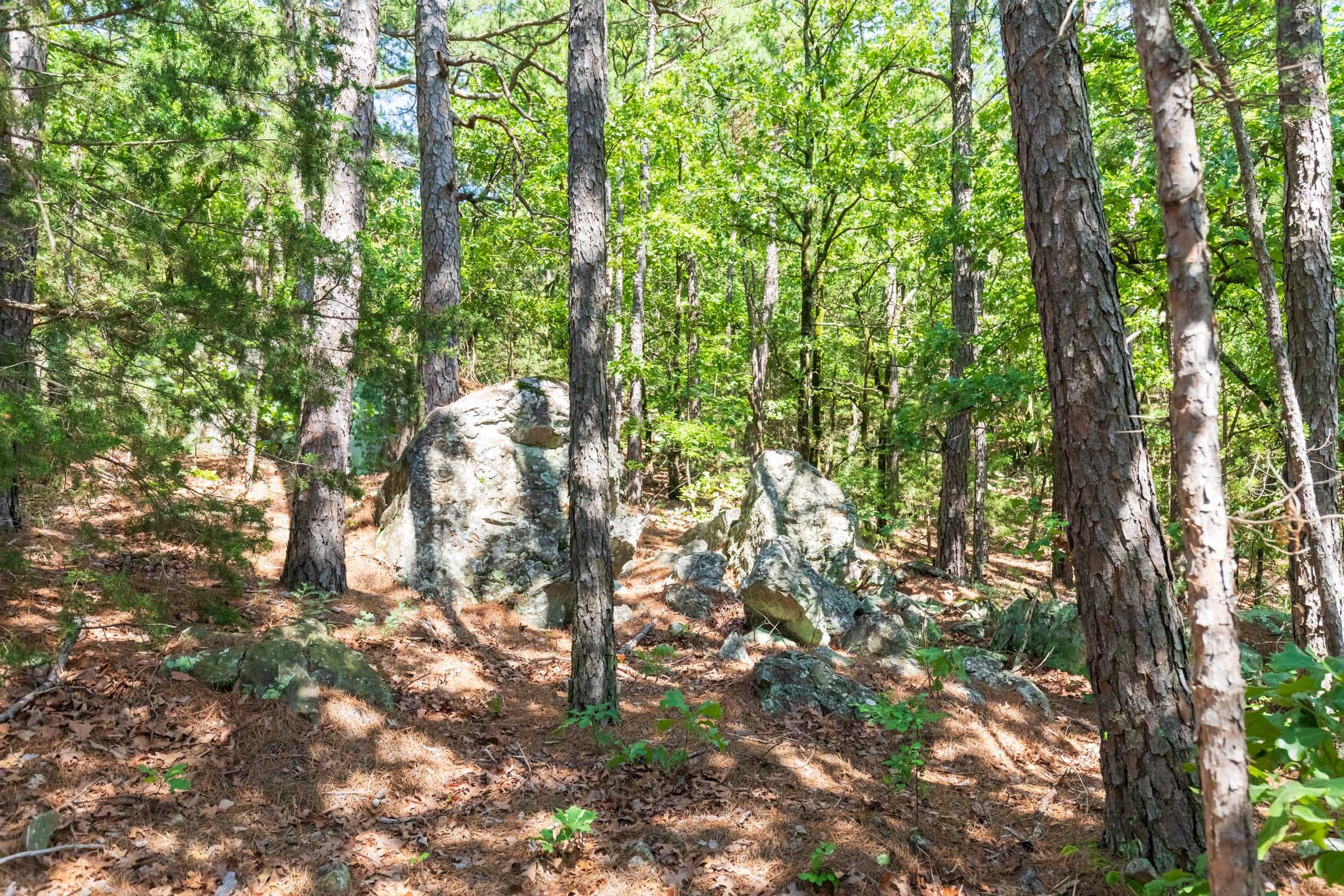 Stone Bridge Phase VI Tract 429 photo 2