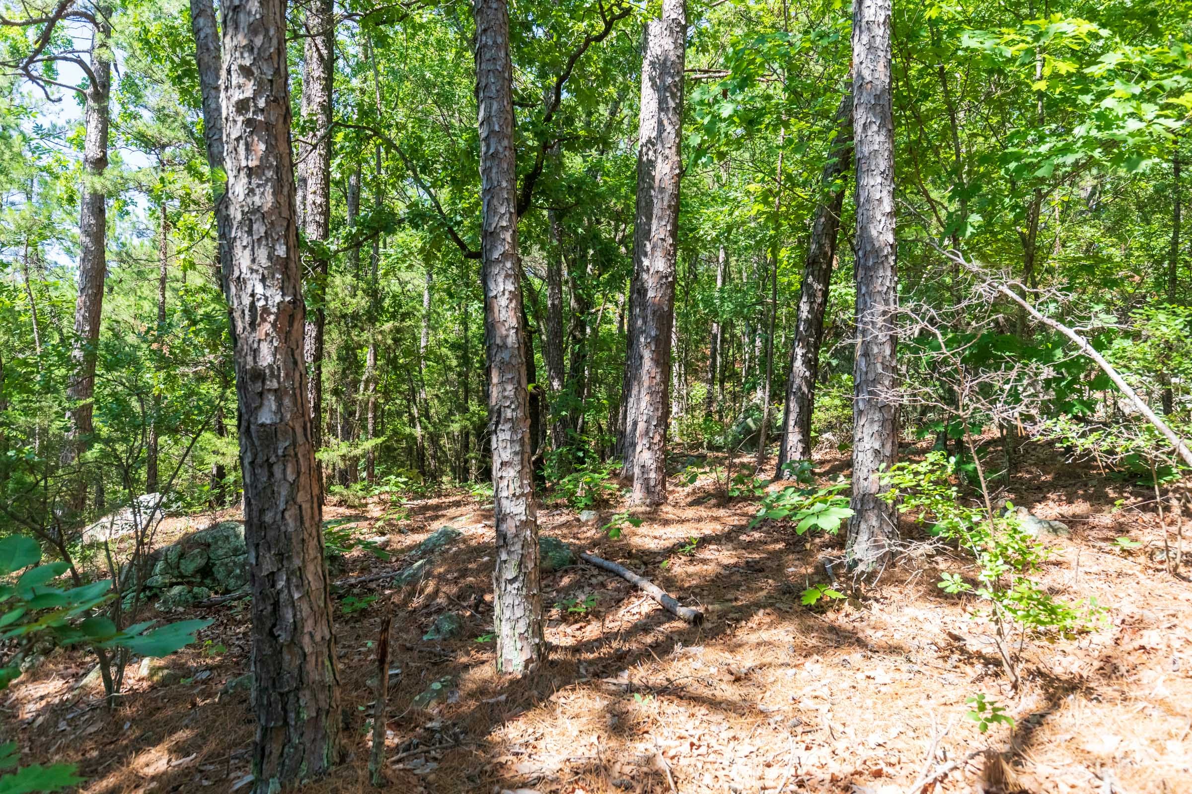 Stone Bridge Phase VI Tract 429 photo 5