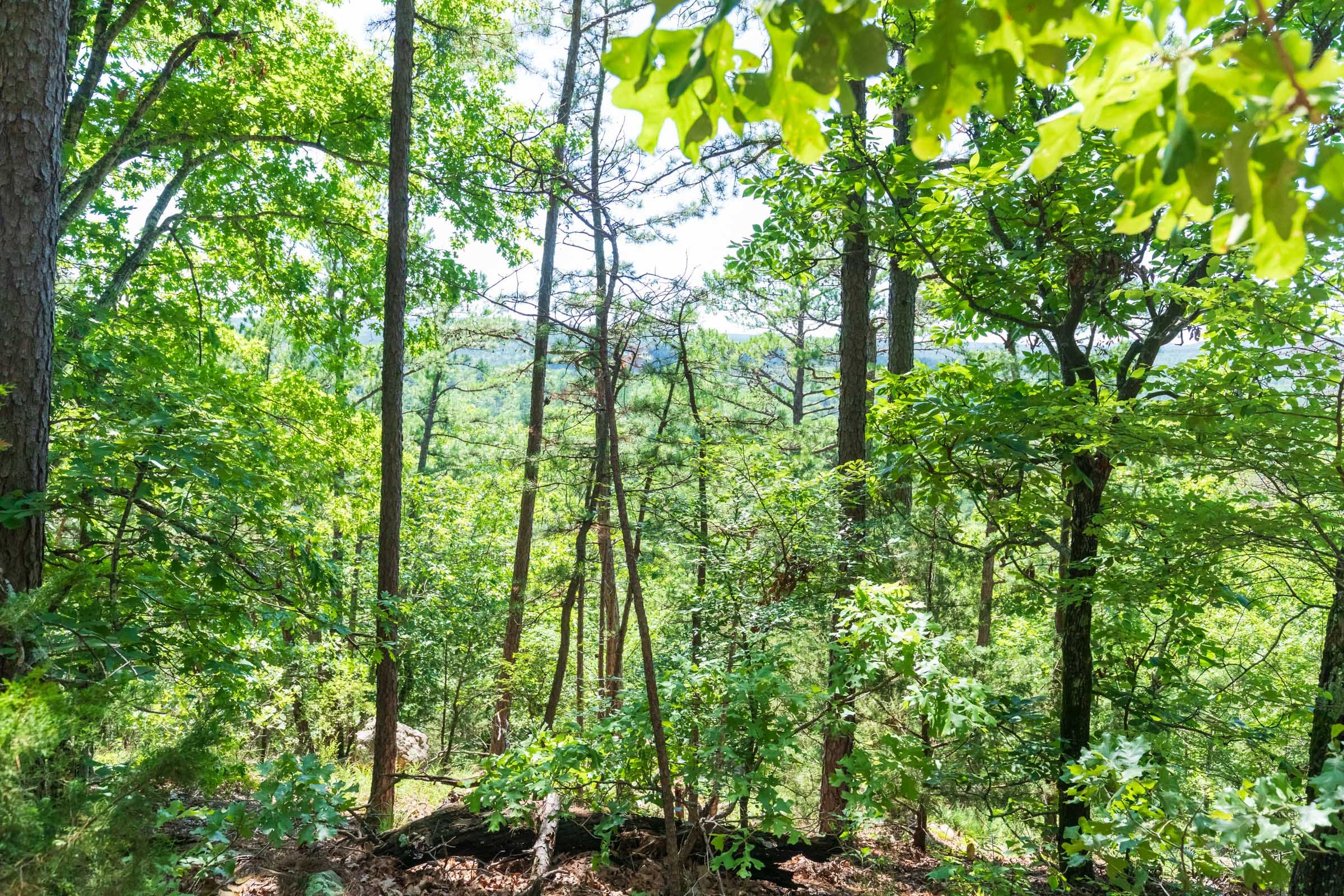 Stone Bridge Phase VI Tract 429 photo 8