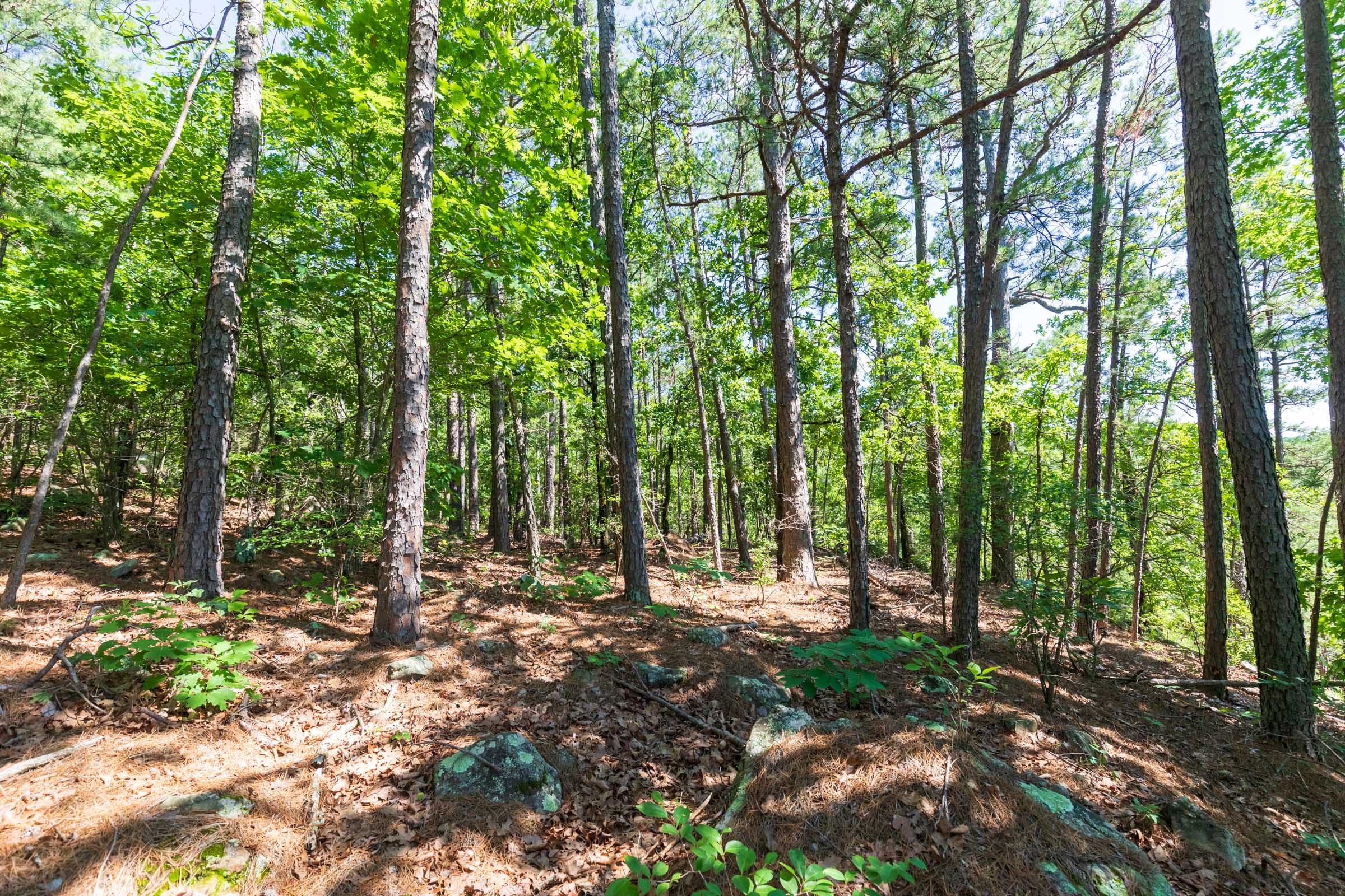 Stone Bridge Phase VI Tract 429 photo 9